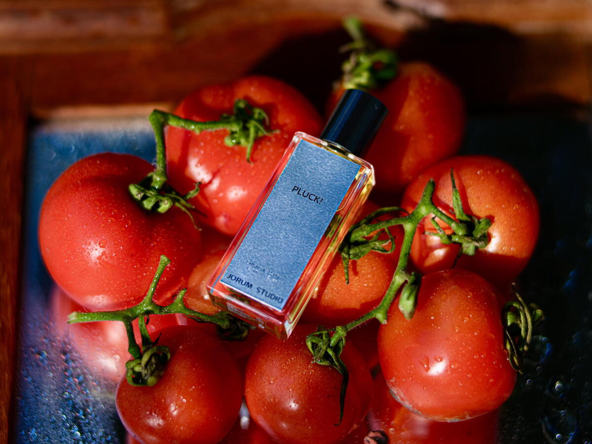عطر ادکلن پلاک جوروم استودیو - Pluck! Jorum Studio - بررسی، قیمت و خرید