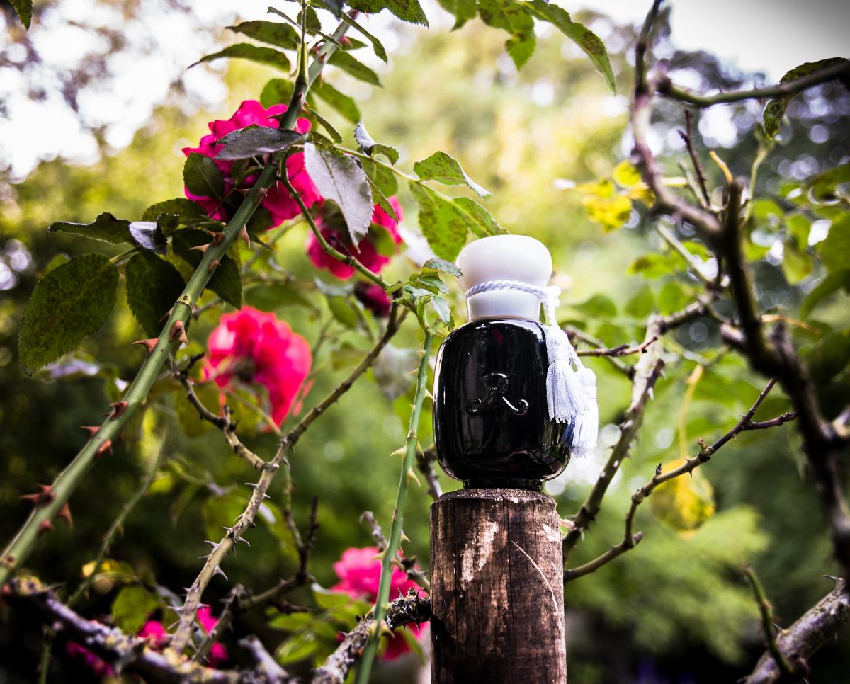 عطر ادکلن لس پارفومز دی روسین رز ابسولومنت - Rose Absolument Les Parfums de Rosine - بررسی، قیمت و خرید