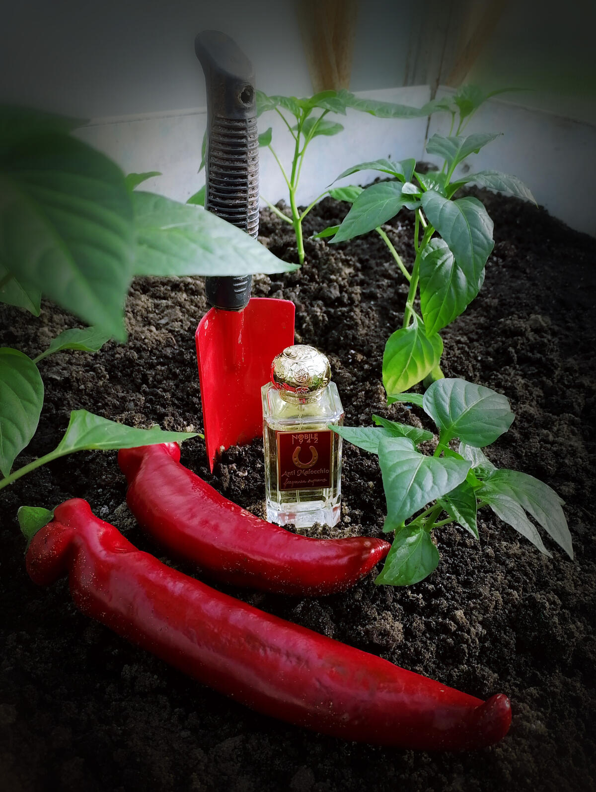 عطر ادکلن آنتی مالوکیو نوبیل ۱۹۴۲ - Anti Malocchio Nobile 1942 - بررسی، قیمت و خرید