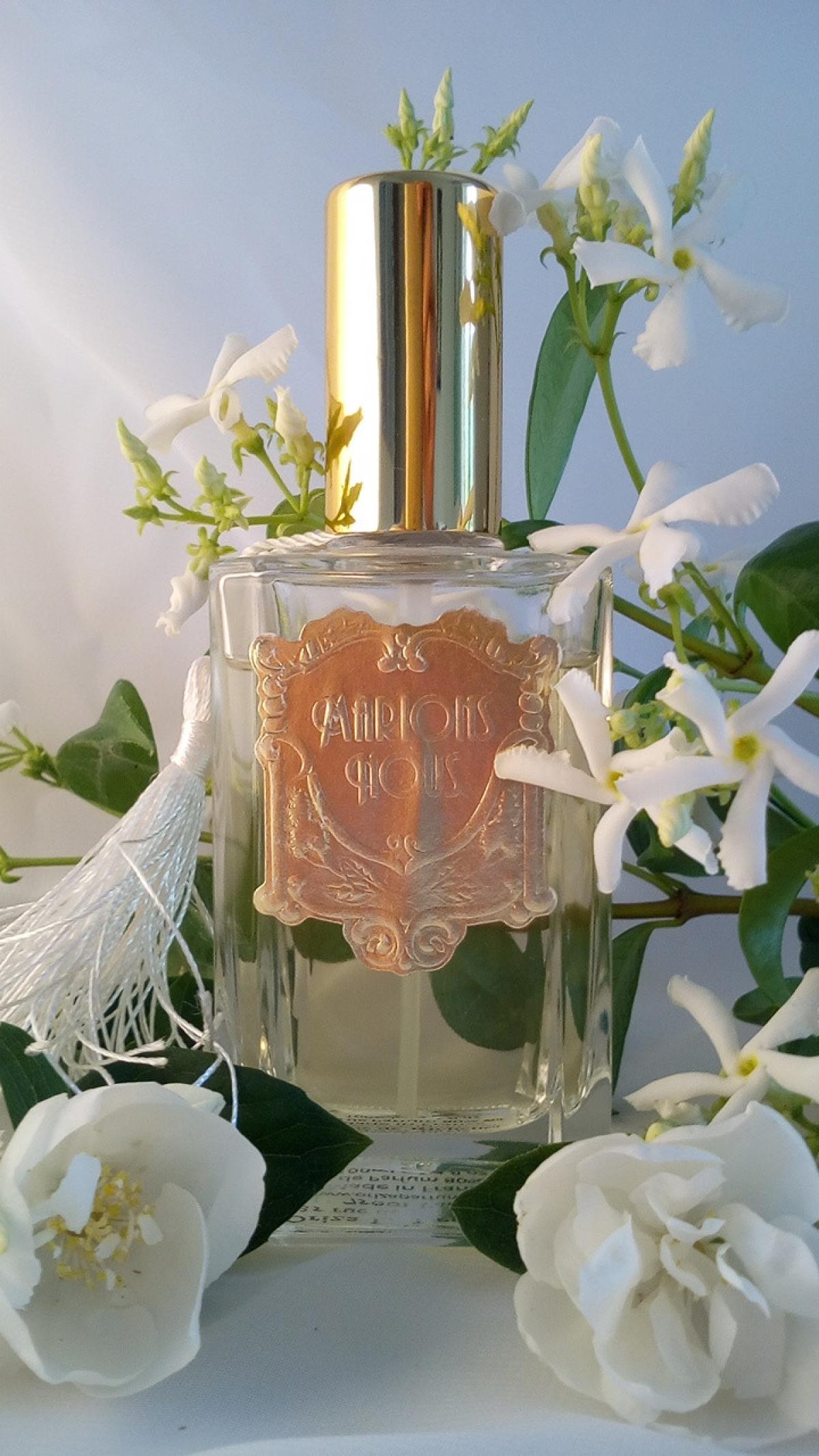 عطر ادکلن ماریون نو اوریزا ال. لگراند - Marions-Nous Oriza L. Legrand - بررسی، قیمت و خرید
