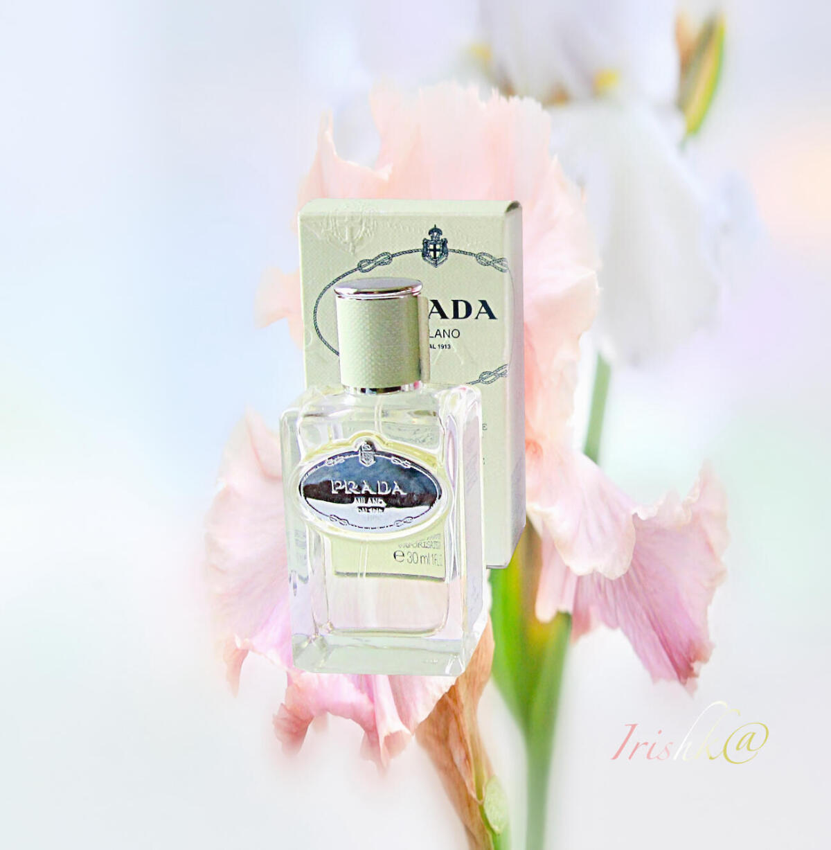 عطر ادکلن اینفیوژن دی آیریس پرادا - Infusion d'Iris Prada - بررسی، قیمت و خرید