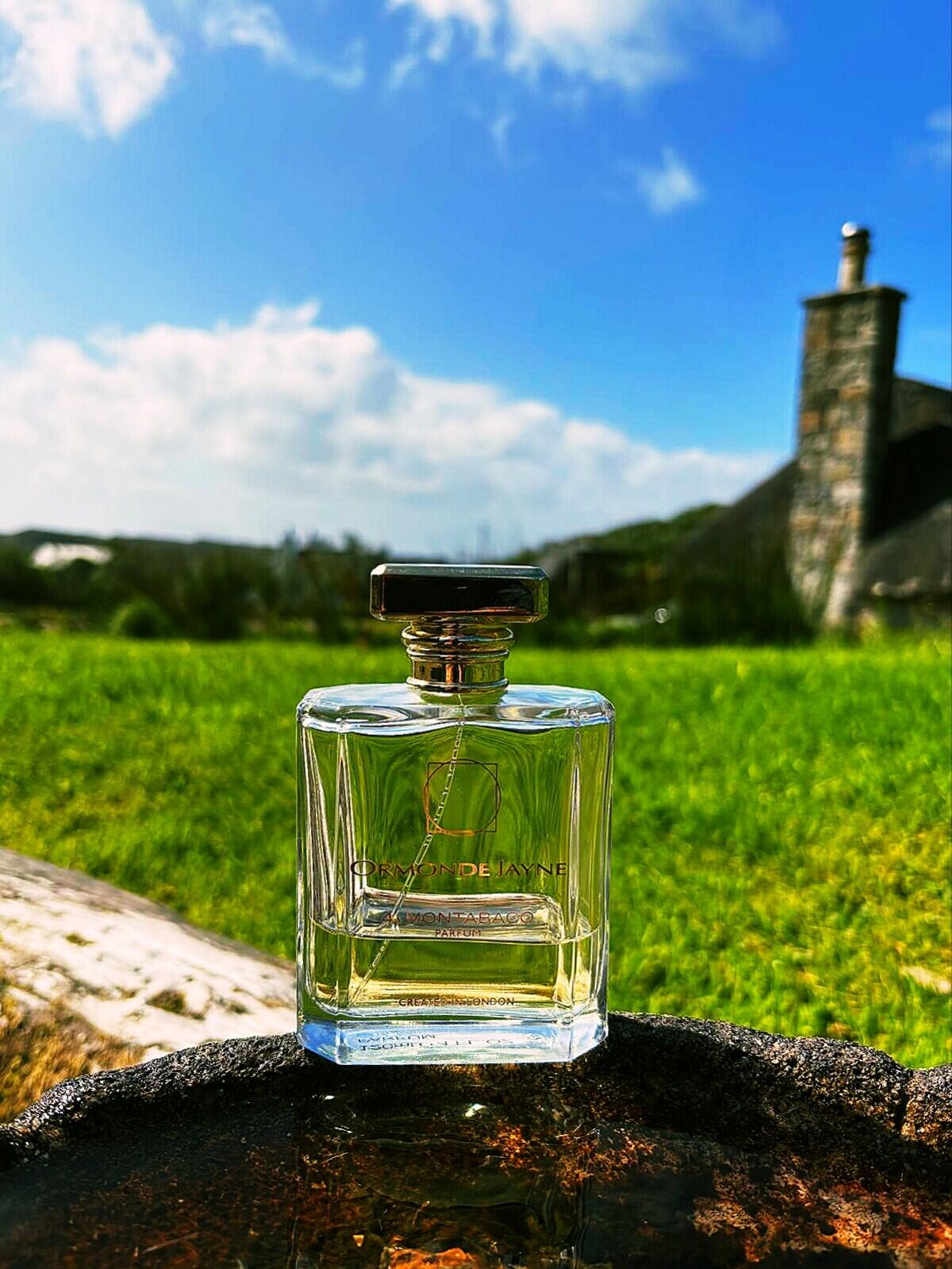 عطر ادکلن مونتاباکو اورمون جین - Montabaco Ormonde Jayne - بررسی، قیمت و خرید