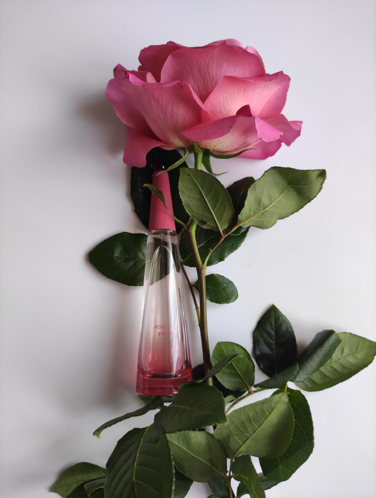 عطر ادکلن لو دیسی رز اند رز ایسه میاکه - L'Eau d'Issey Rose & Rose Issey Miyake - بررسی، قیمت و خرید