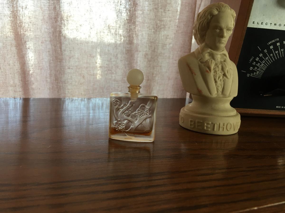 عطر ادکلن امبر دور ژان چارلز بروسو - Ombre D'Or Jean Charles Brosseau - بررسی، قیمت و خرید