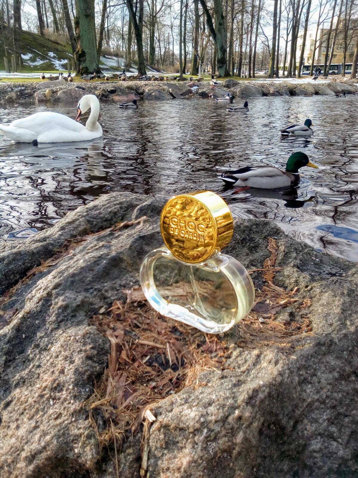 عطر ادکلن شوک د کاردن پیِر کاردَن - Choc de Cardin Pierre Cardin - بررسی، قیمت و خرید