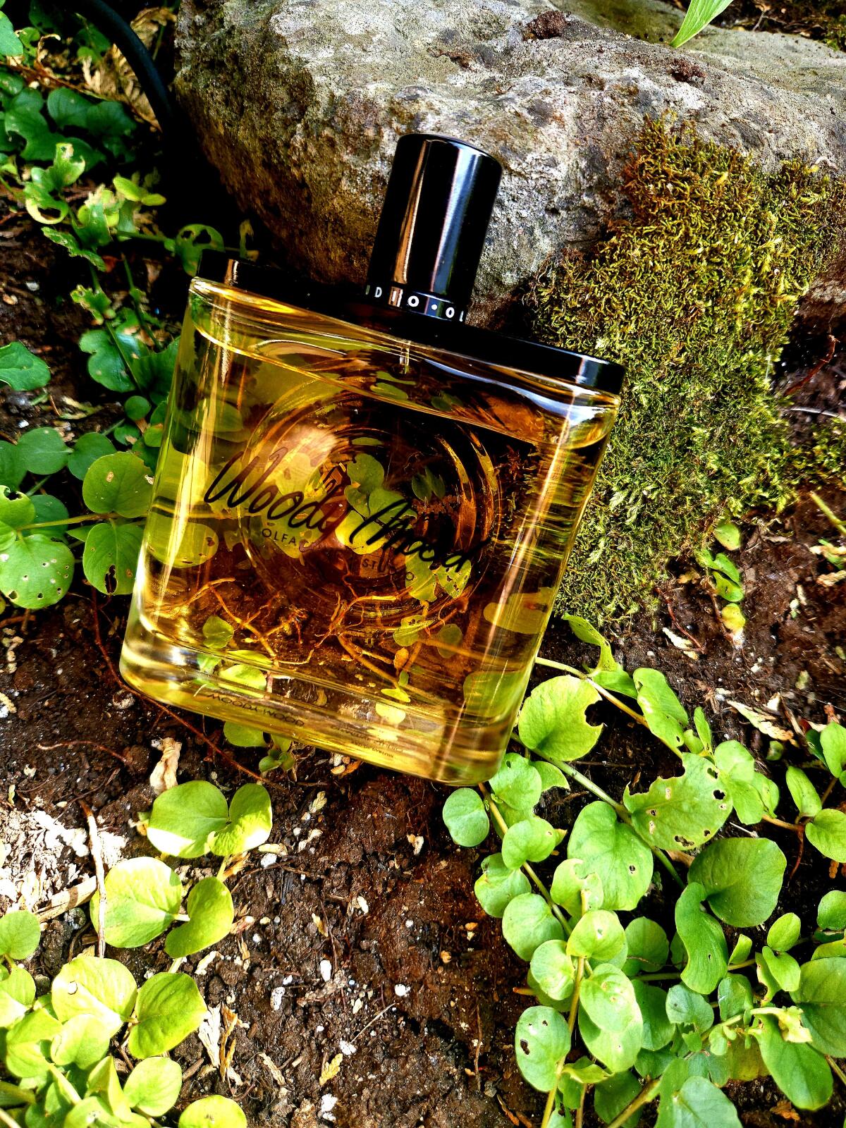 عطر ادکلن وودی مود اولفکتیو استودیو - Woody Mood Olfactive Studio - بررسی، قیمت و خرید