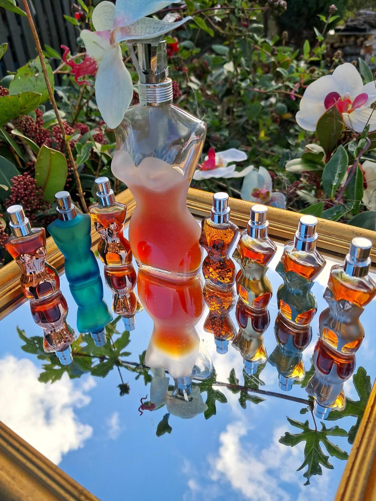 عطر ادکلن کلاسیک ژان پل گوتیه - Classique Jean Paul Gaultier - بررسی، قیمت و خرید