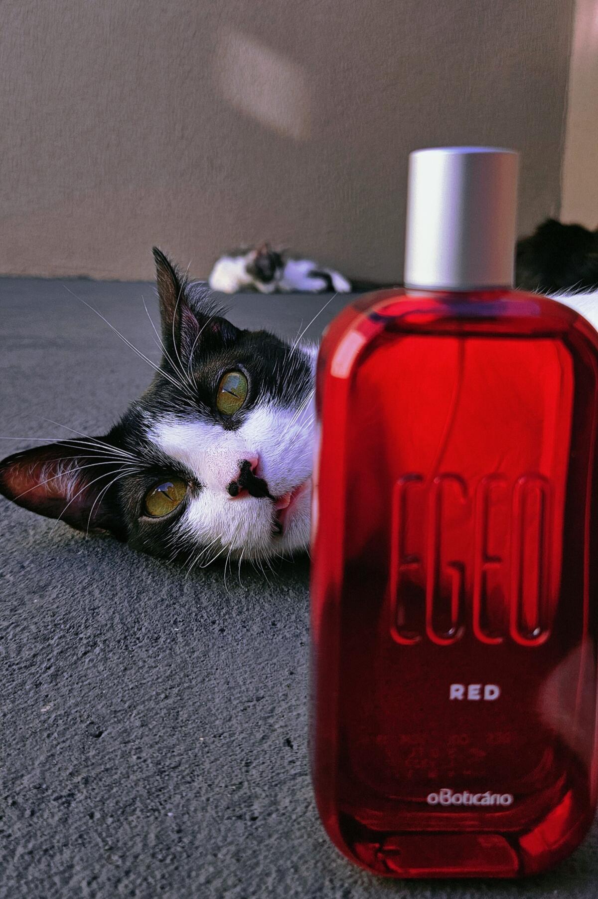 عطر ادکلن اِجئو رِد اُ بوتیکاریو - Egeo Red O Boticário - بررسی، قیمت و خرید
