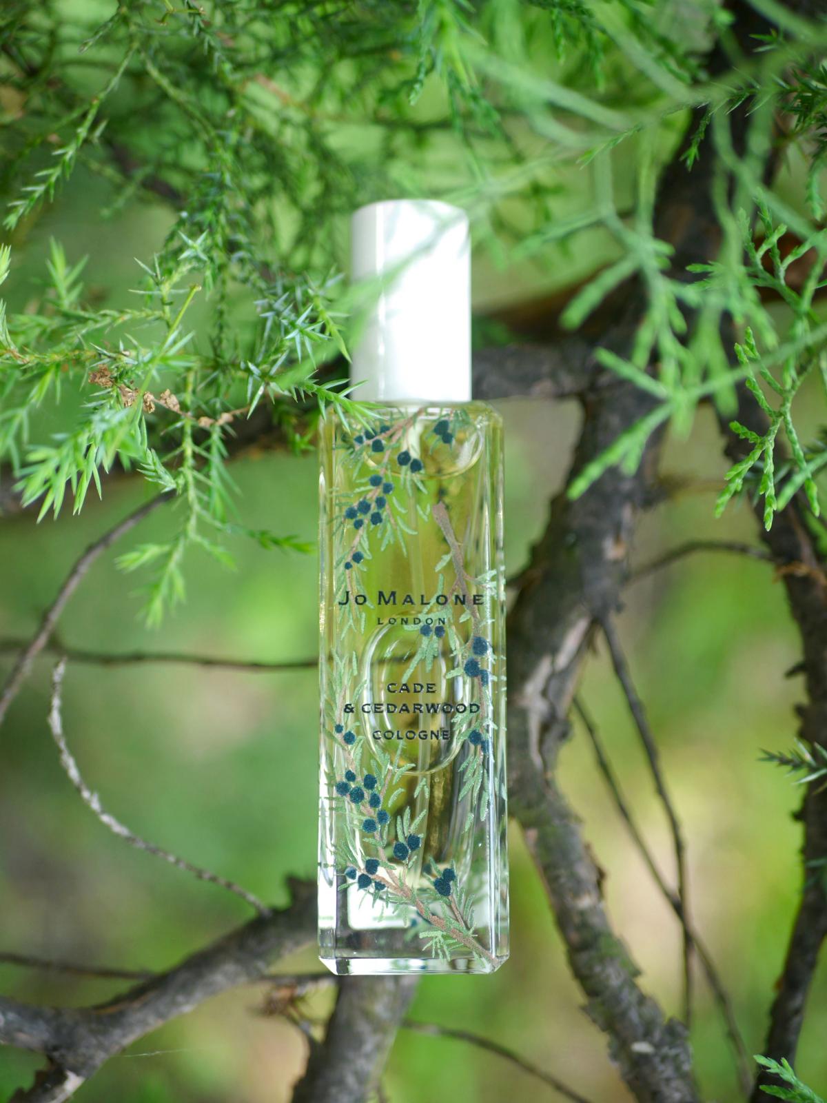 عطر ادکلن کید اند سداروود جو مالون لندن - Cade & Cedarwood Jo Malone London - بررسی، قیمت و خرید