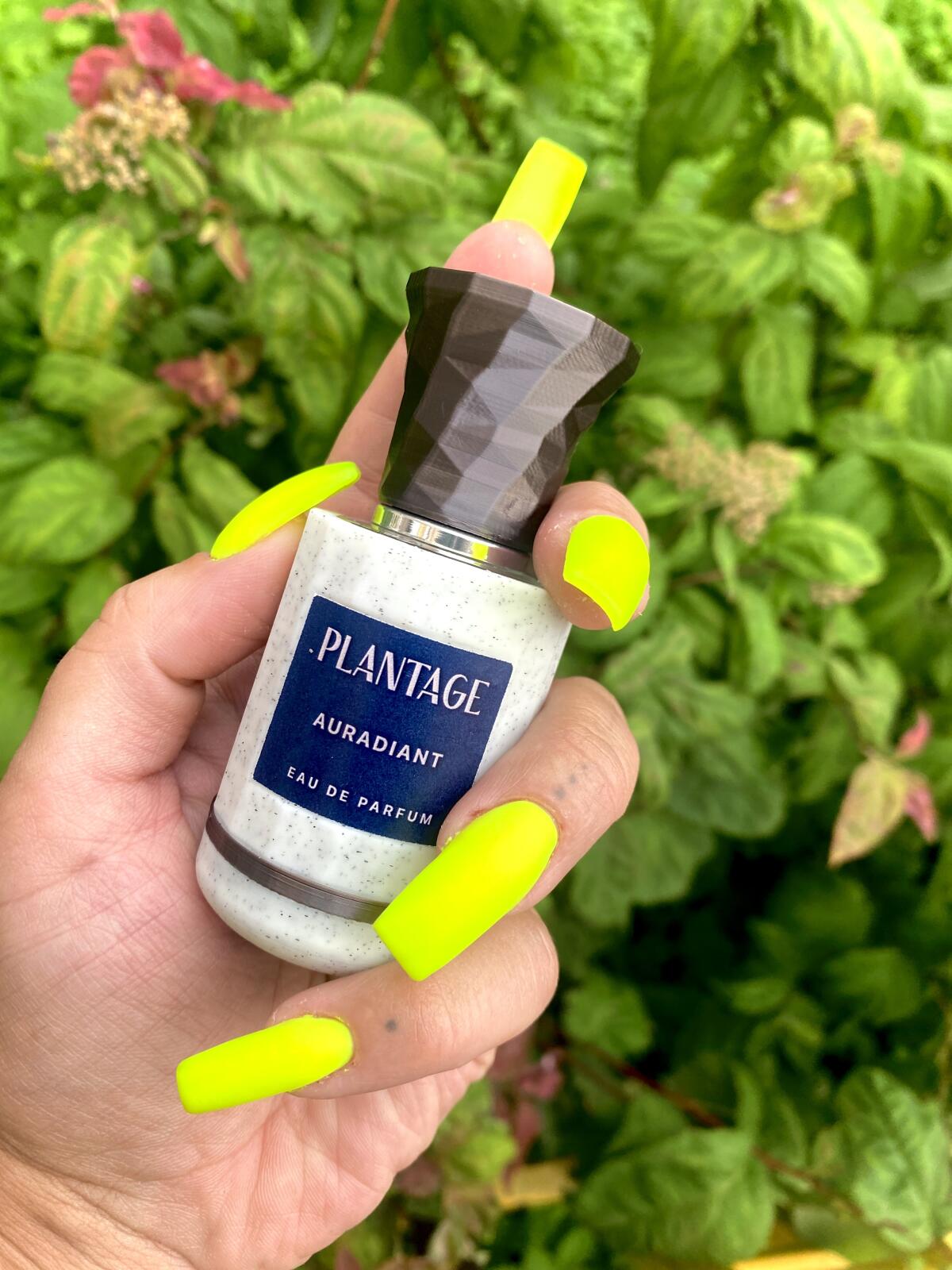 عطر ادکلن اورادیانت پلانتج - Auradiant Plantage - بررسی، قیمت و خرید