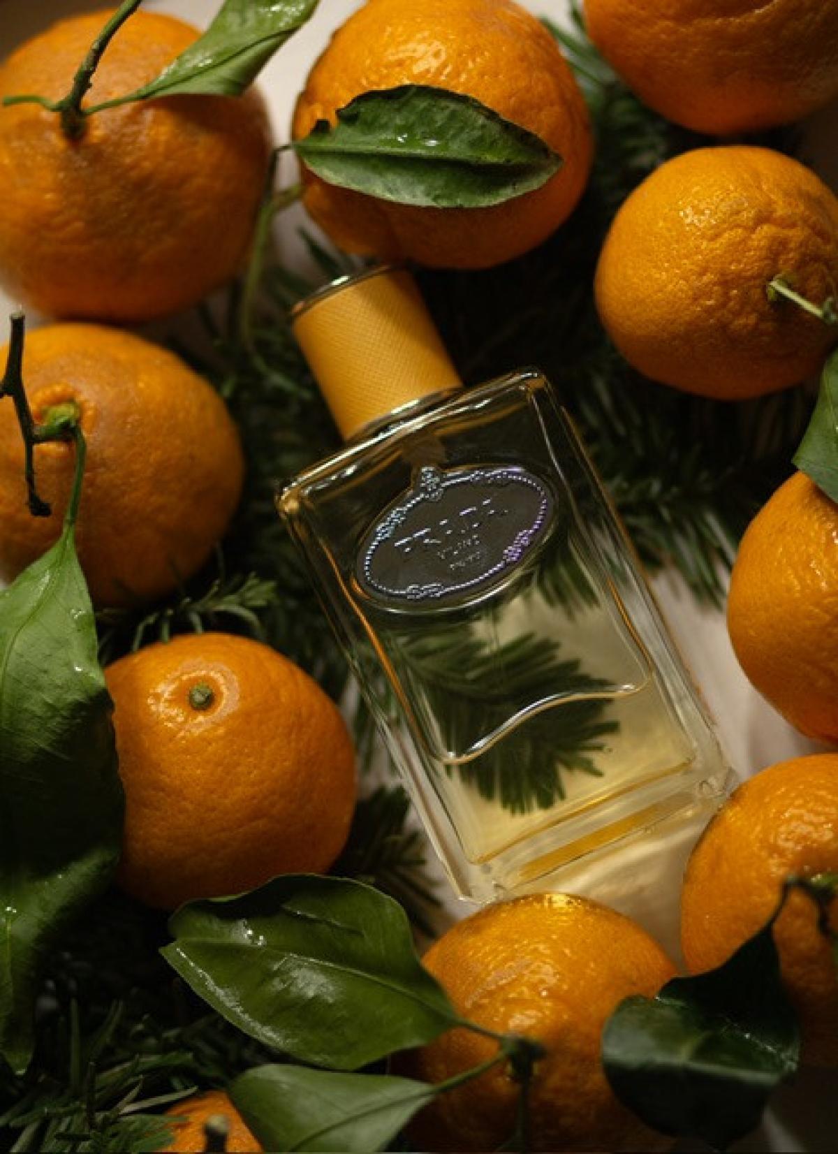 عطر ادکلن اینفیوژن ماندارین پِرادا - Infusion Mandarine Prada - بررسی، قیمت و خرید
