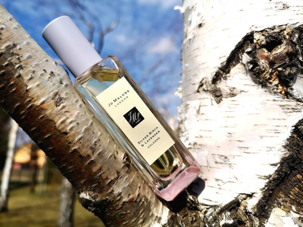 عطر ادکلن سیلور بِرچ اَند لاوندر کُلُن جو مالون لندن - Silver Birch & Lavender Cologne Jo Malone London - بررسی، قیمت و خرید
