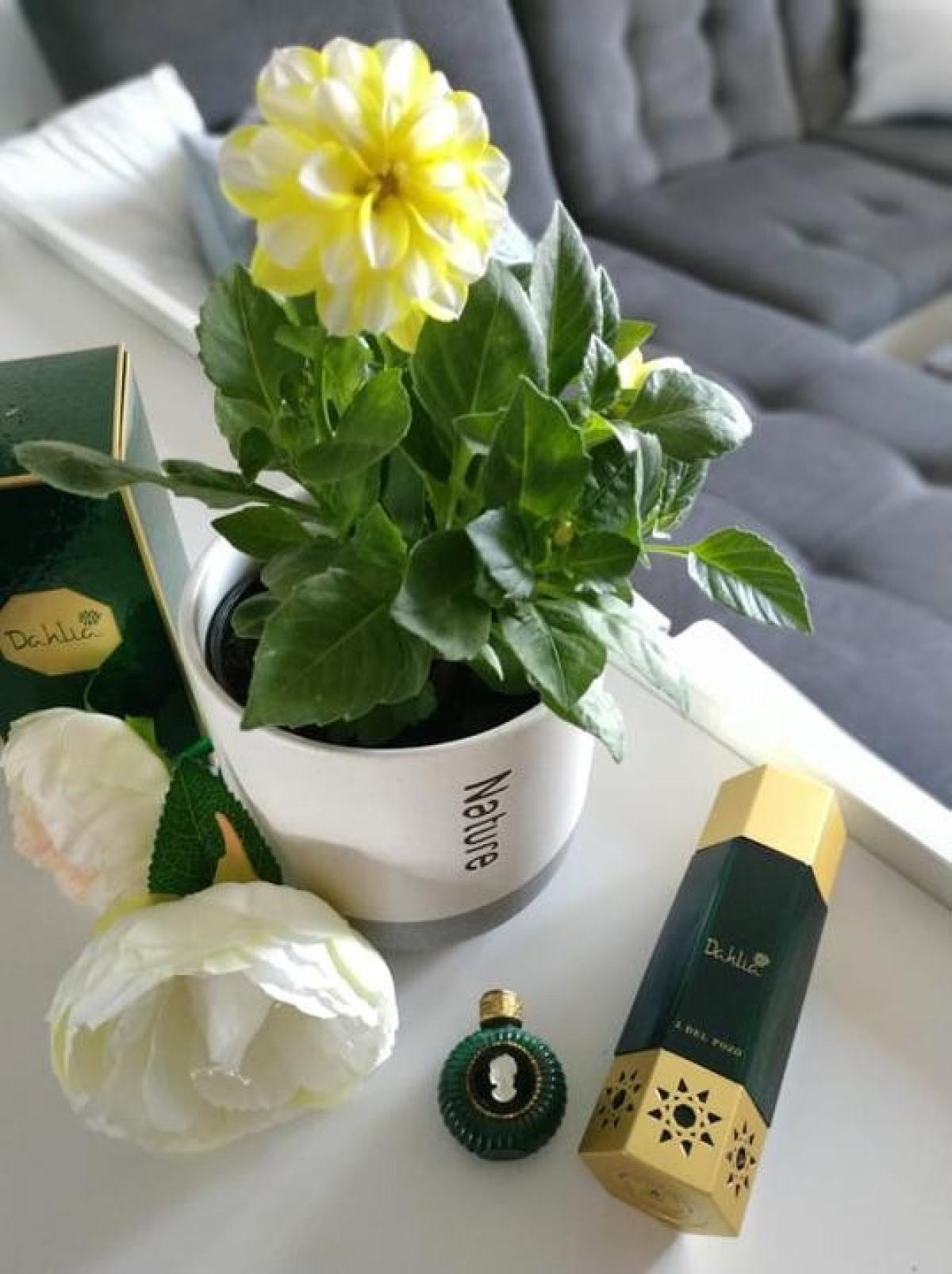 عطر ادکلن دزرت فلاورز داهلیا خسوس دل پوزو - Desert Flowers Dahlia Jesus Del Pozo - بررسی، قیمت و خرید