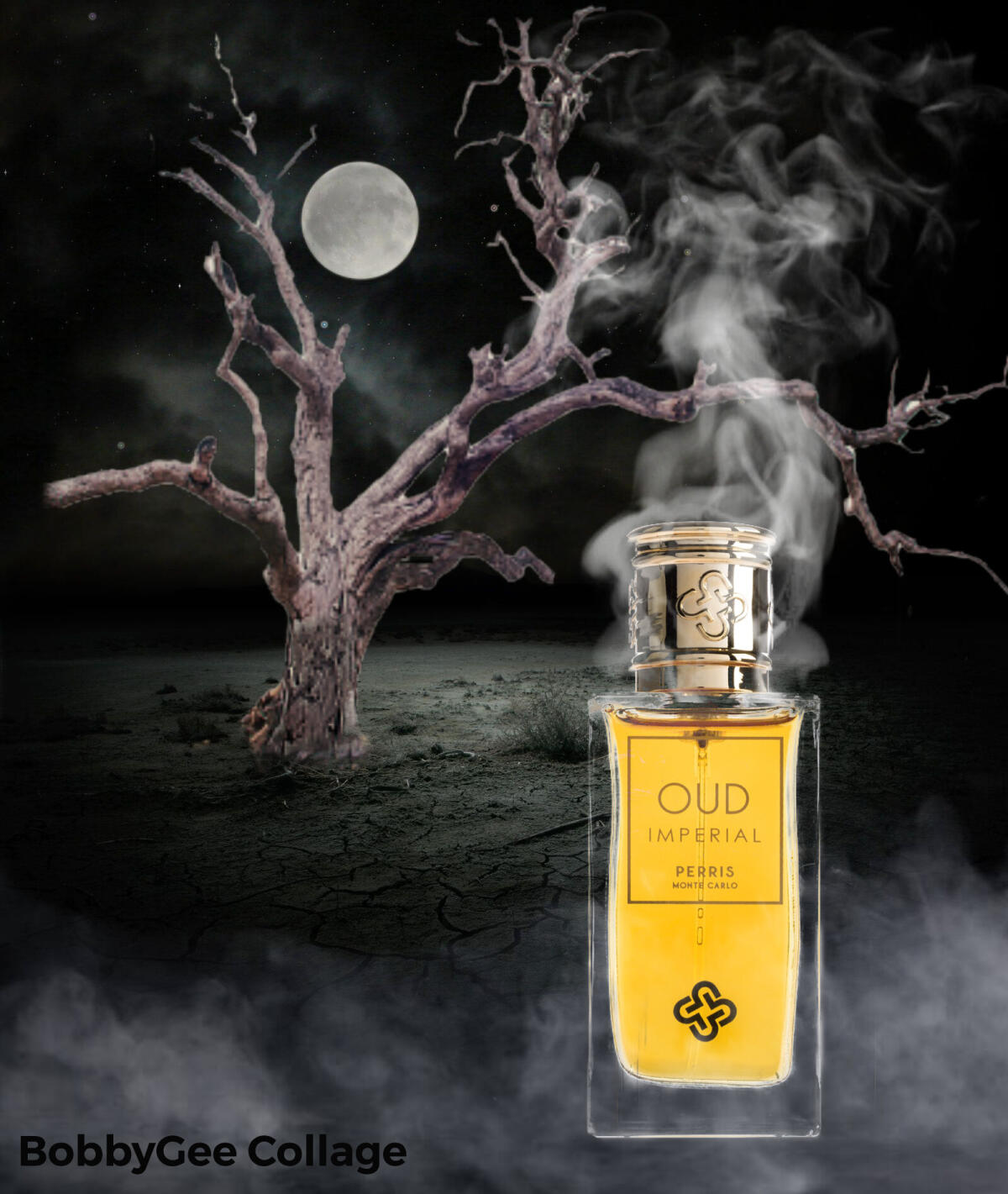 عطر ادکلن اود ایمپریال اکستریت پریس مونت کارلو - Oud Imperial Extrait Perris Monte Carlo - بررسی، قیمت و خرید