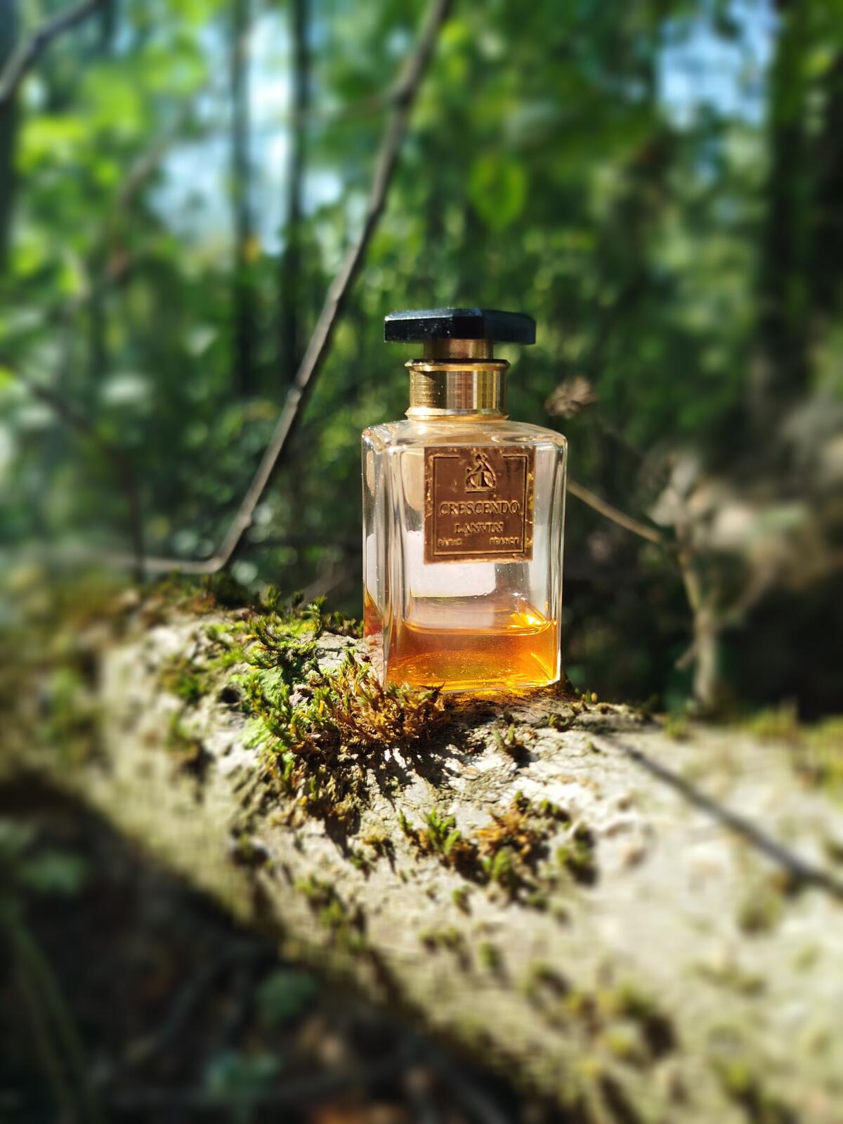 عطر ادکلن کرشندو لانون - Crescendo Lanvin - بررسی، قیمت و خرید