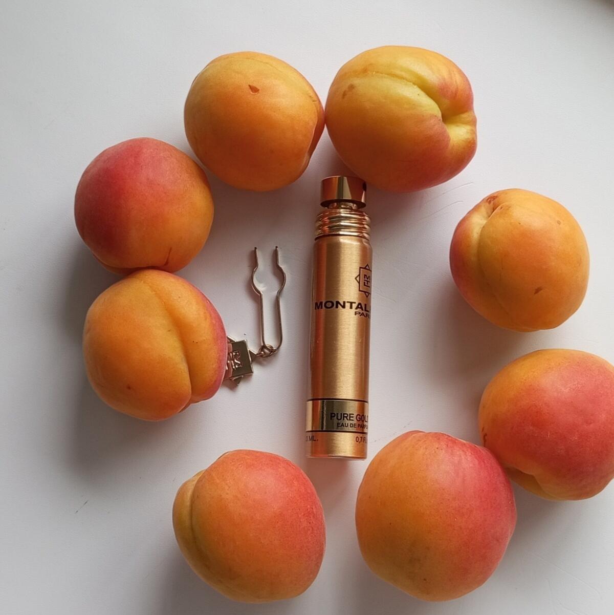 عطر ادکلن پیور گلد مونتاله - Pure Gold Montale - بررسی، قیمت و خرید