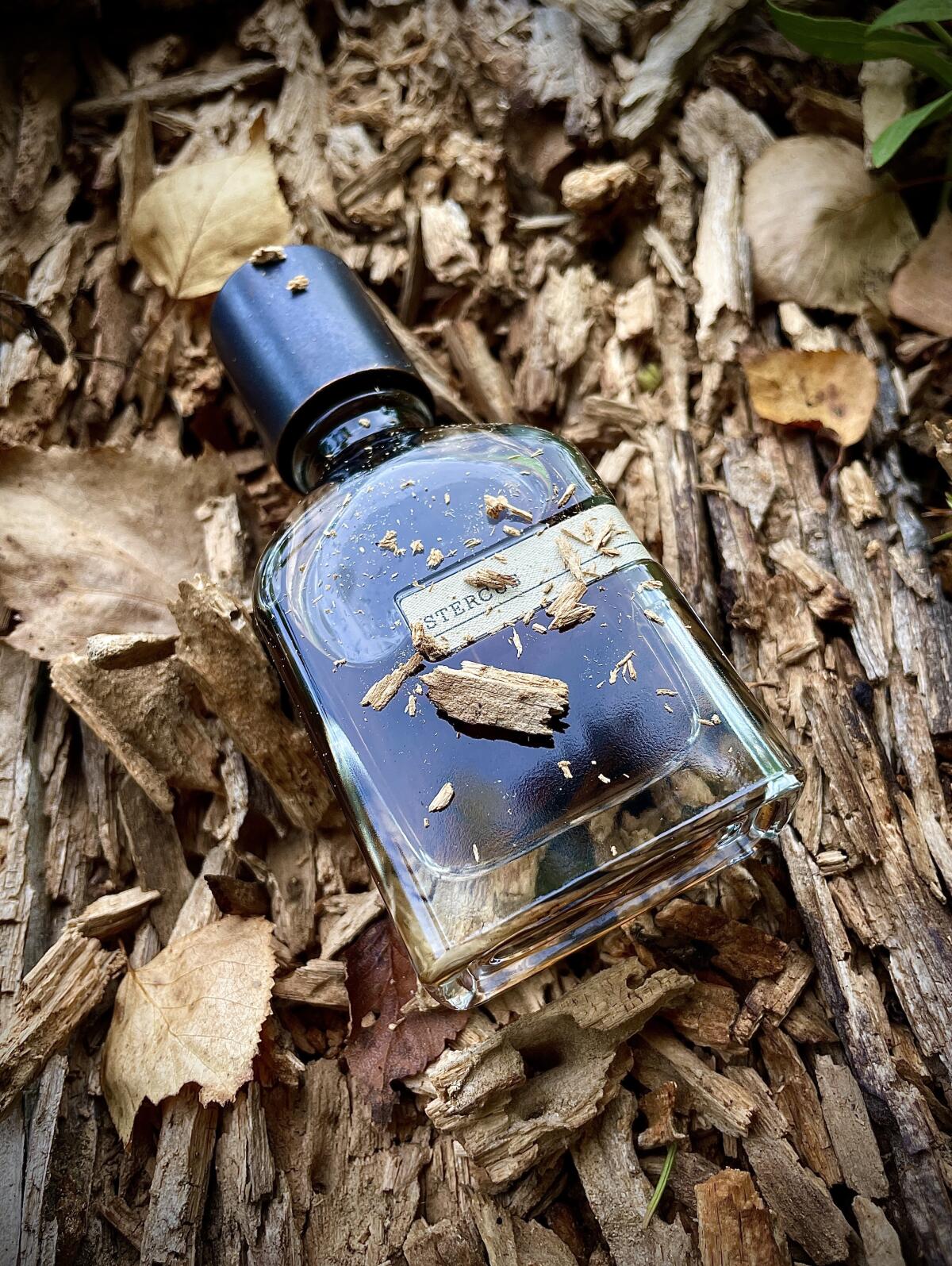 عطر ادکلن استرکوس اورتو پاریسی - Stercus Orto Parisi - بررسی، قیمت و خرید