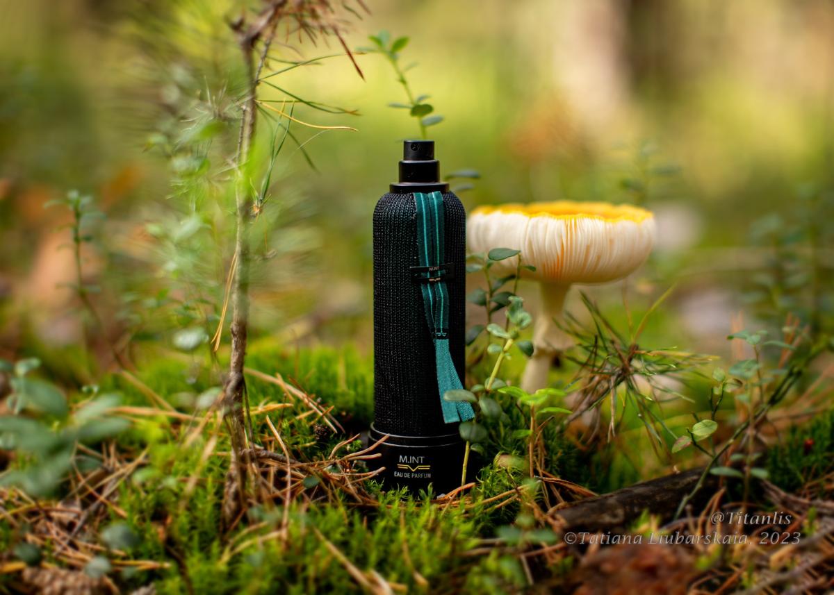 عطر ادکلن تری دی سنت اِم اینت - 3-D Scent M.INT - بررسی، قیمت و خرید