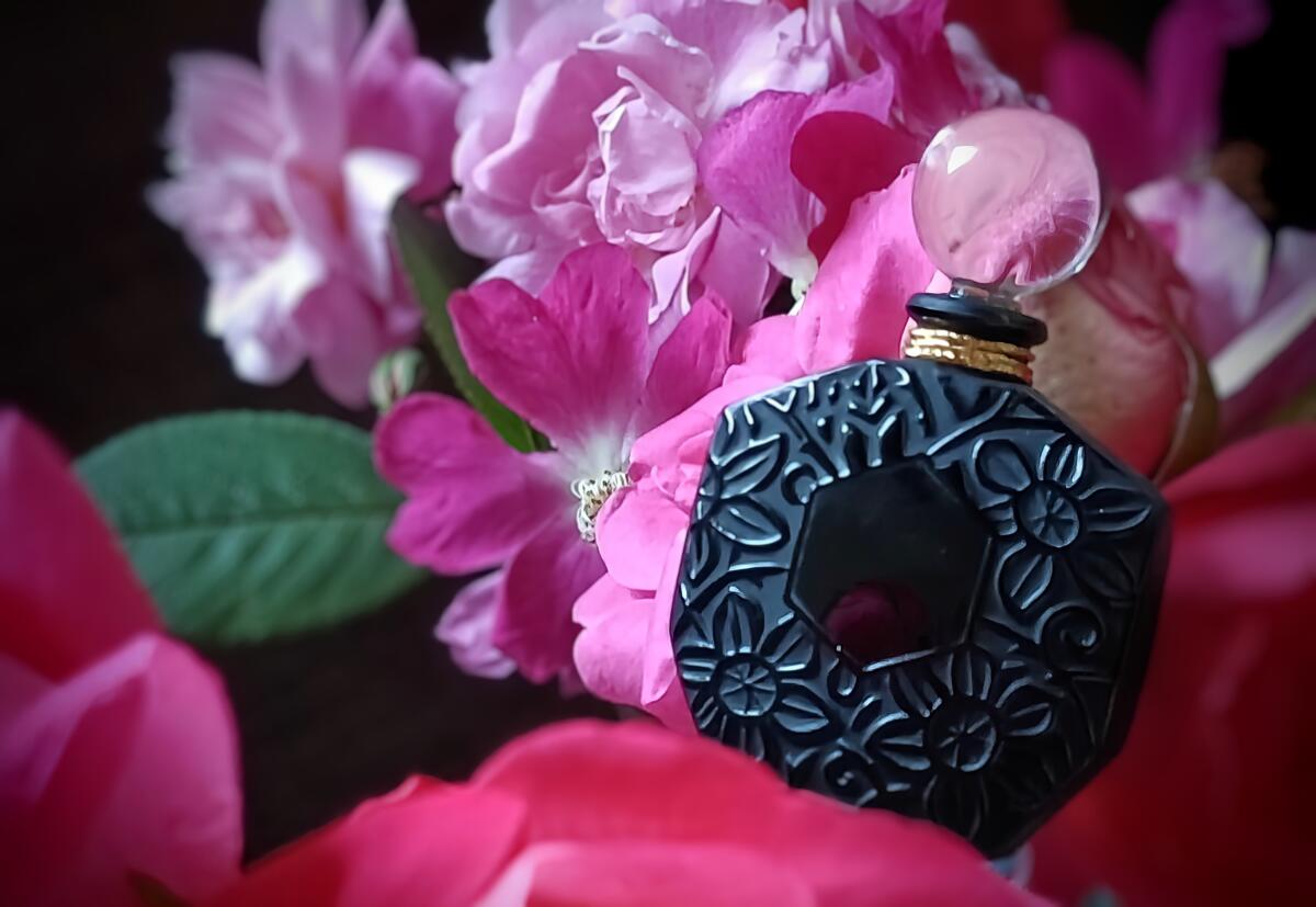 عطر ادکلن آمبر رز پارفوم ژان شارل بروسو - Ombre Rose Parfum Jean Charles Brosseau - بررسی، قیمت و خرید