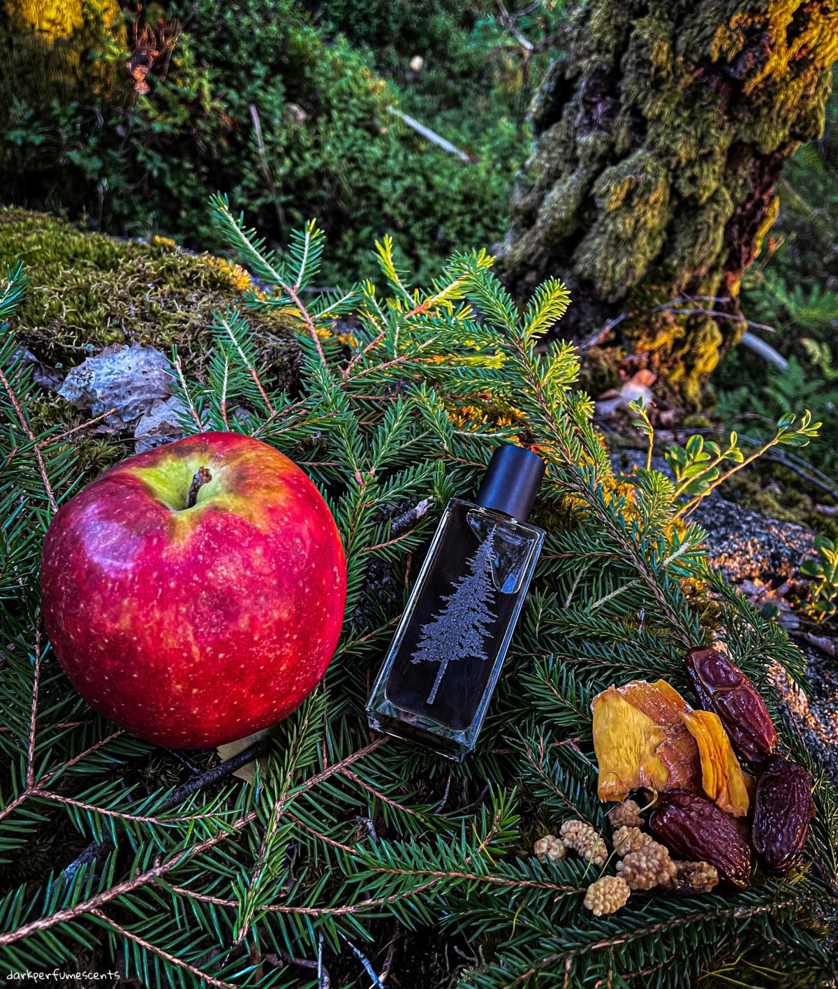 عطر ادکلن اپل تاباک پاین وارد پرفیومز - Apple Tabac Pineward Perfumes - بررسی، قیمت و خرید