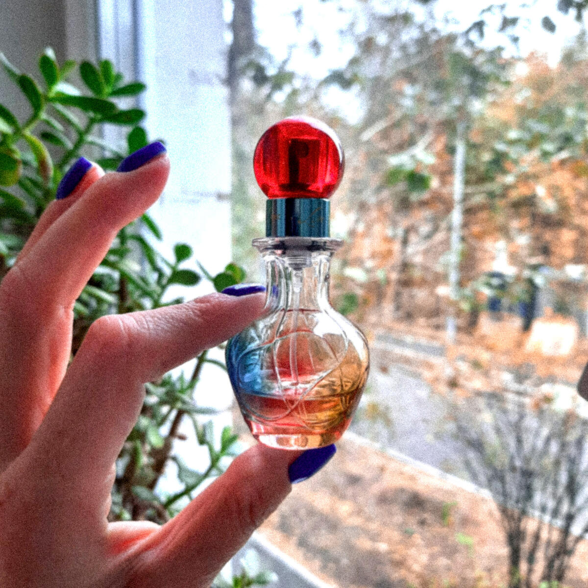 عطر ادکلن لیو لوکس جنیفر لوپز - Live Luxe Jennifer Lopez - بررسی، قیمت و خرید