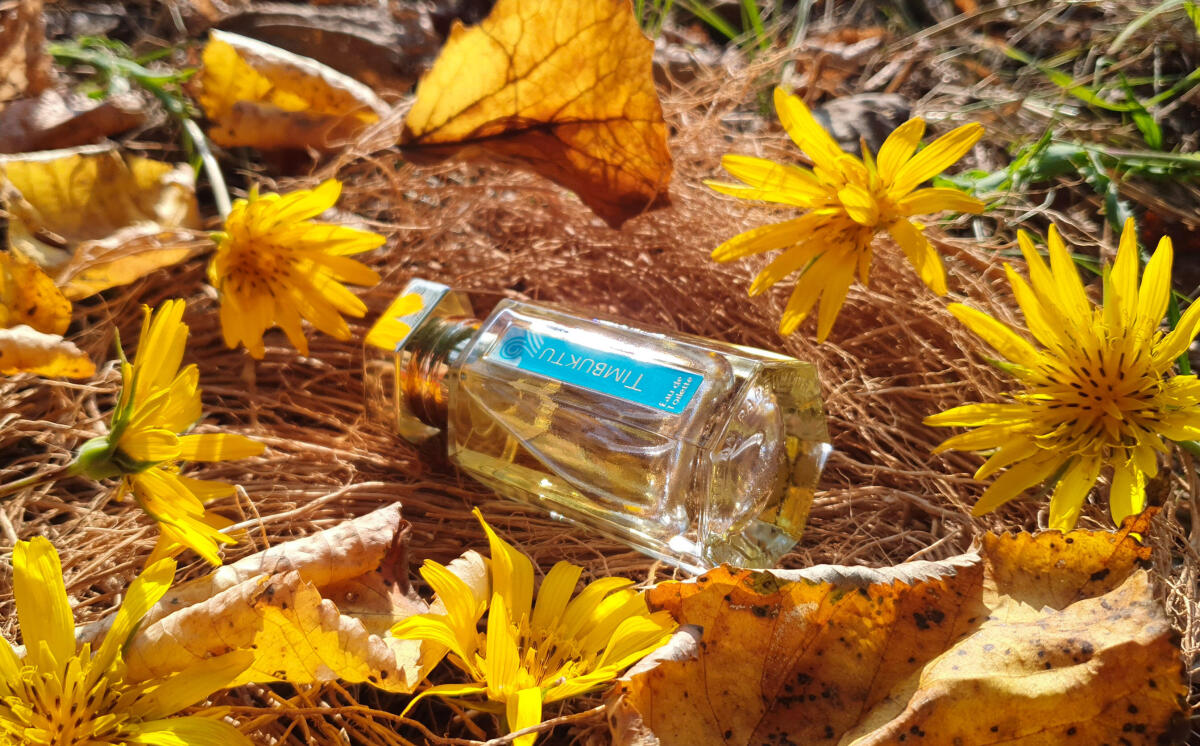 عطر ادکلن تیمبوکتو لرتیزان پرفیومر - Timbuktu L'Artisan Parfumeur - بررسی، قیمت و خرید