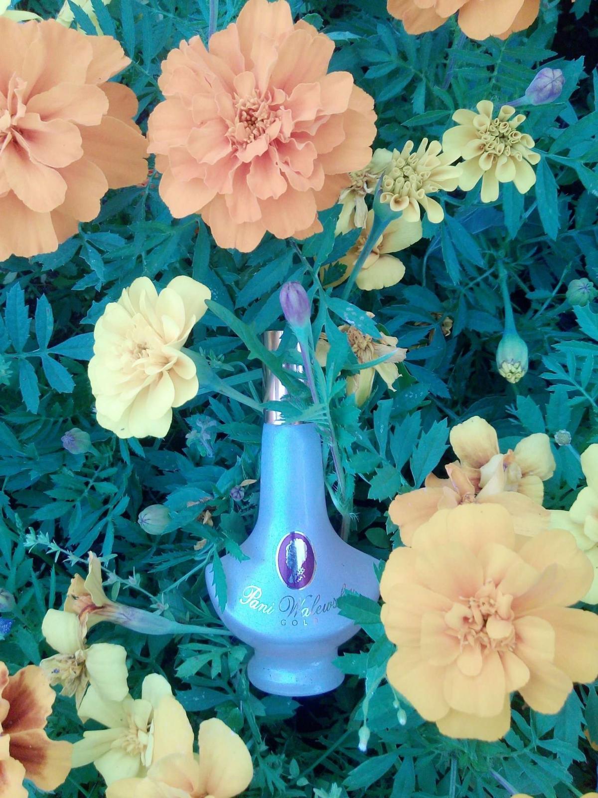 عطر ادکلن پانی والسکا گلد میراکلوم - Pani Walewska Gold Miraculum - بررسی، قیمت و خرید