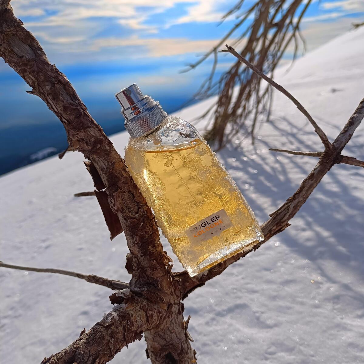 عطر ادکلن ماگلر کلن فلای اوی ماگلر - Mugler Cologne Fly Away Mugler - بررسی، قیمت و خرید