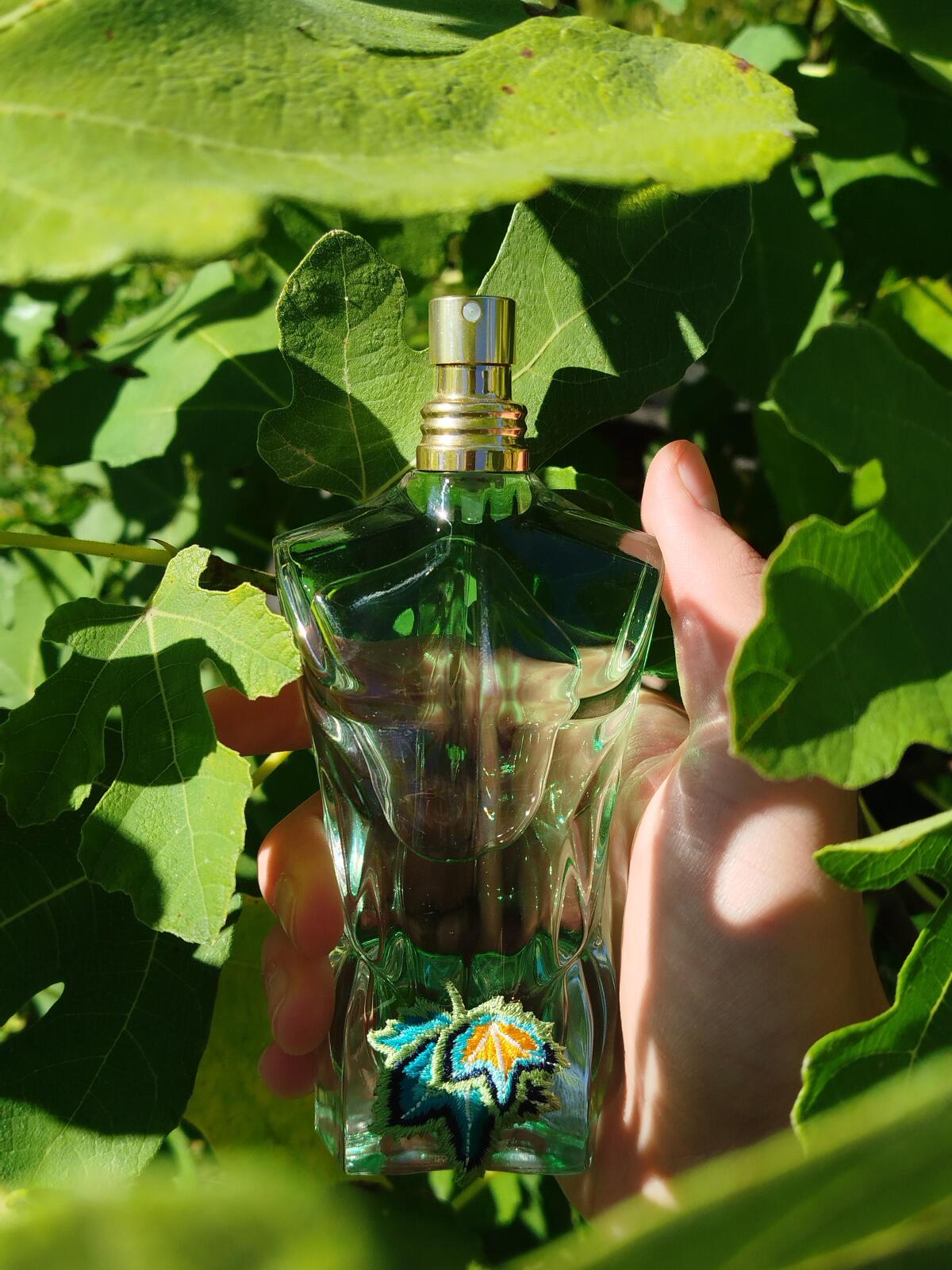 عطر ادکلن لی بو پارادایس گاردن ژان پل گوتیه - Le Beau Paradise Garden Jean Paul Gaultier - بررسی، قیمت و خرید