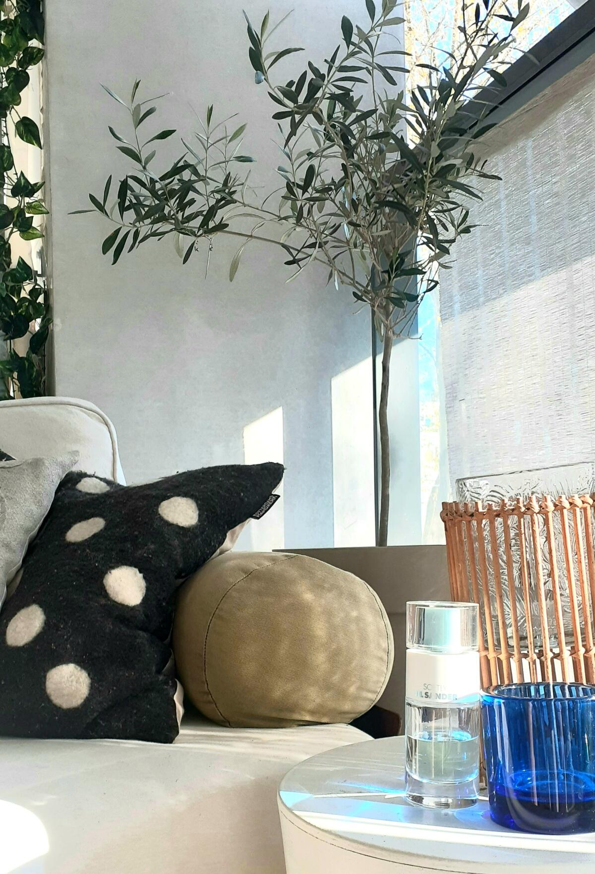 عطر ادکلن سافتلی جیل ساندر جیل ساندر - Softly Jil Sander Jil Sander - بررسی، قیمت و خرید