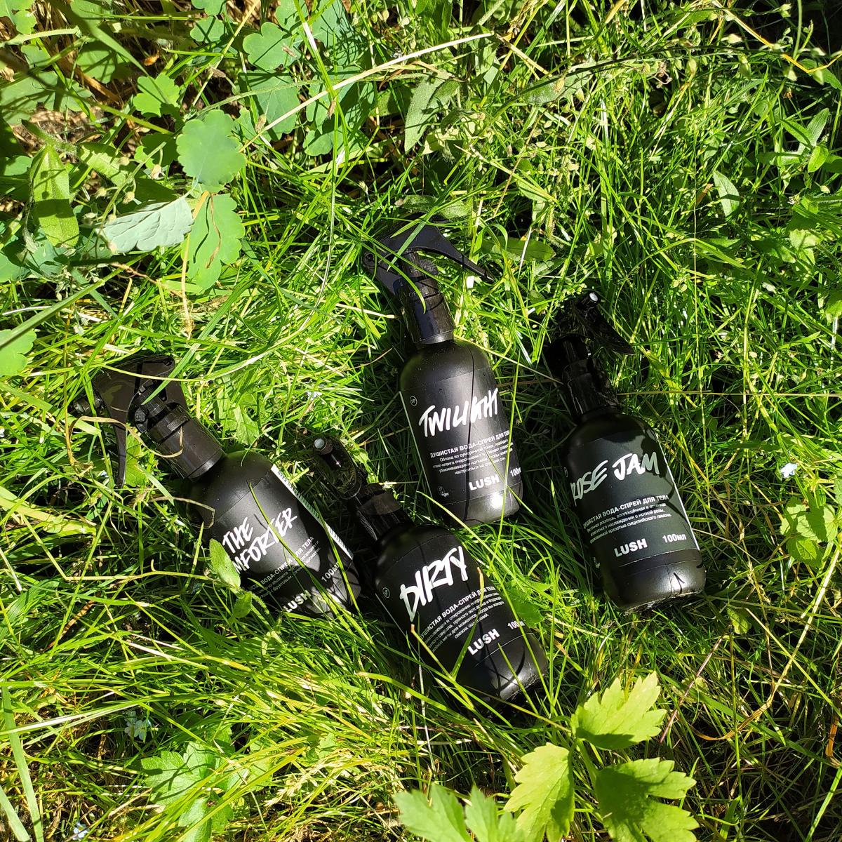 عطر ادکلن د کامفُرتِر لاش - The Comforter Lush - بررسی، قیمت و خرید