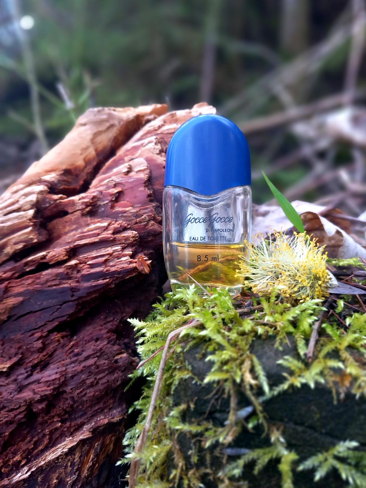 عطر ادکلن گوچه گوچه دی ناپلئون موریس - Gocce Gocce di Napoleon Morris - بررسی، قیمت و خرید