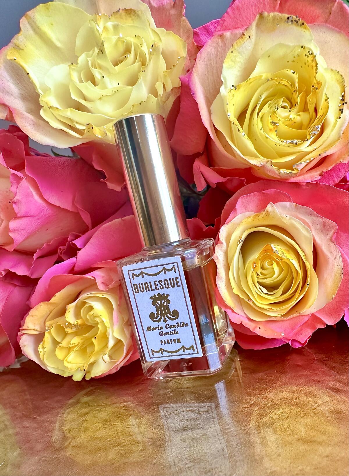 عطر ادکلن برلسک ماریا کندیدا جنتیله - Burlesque Maria Candida Gentile - بررسی، قیمت و خرید