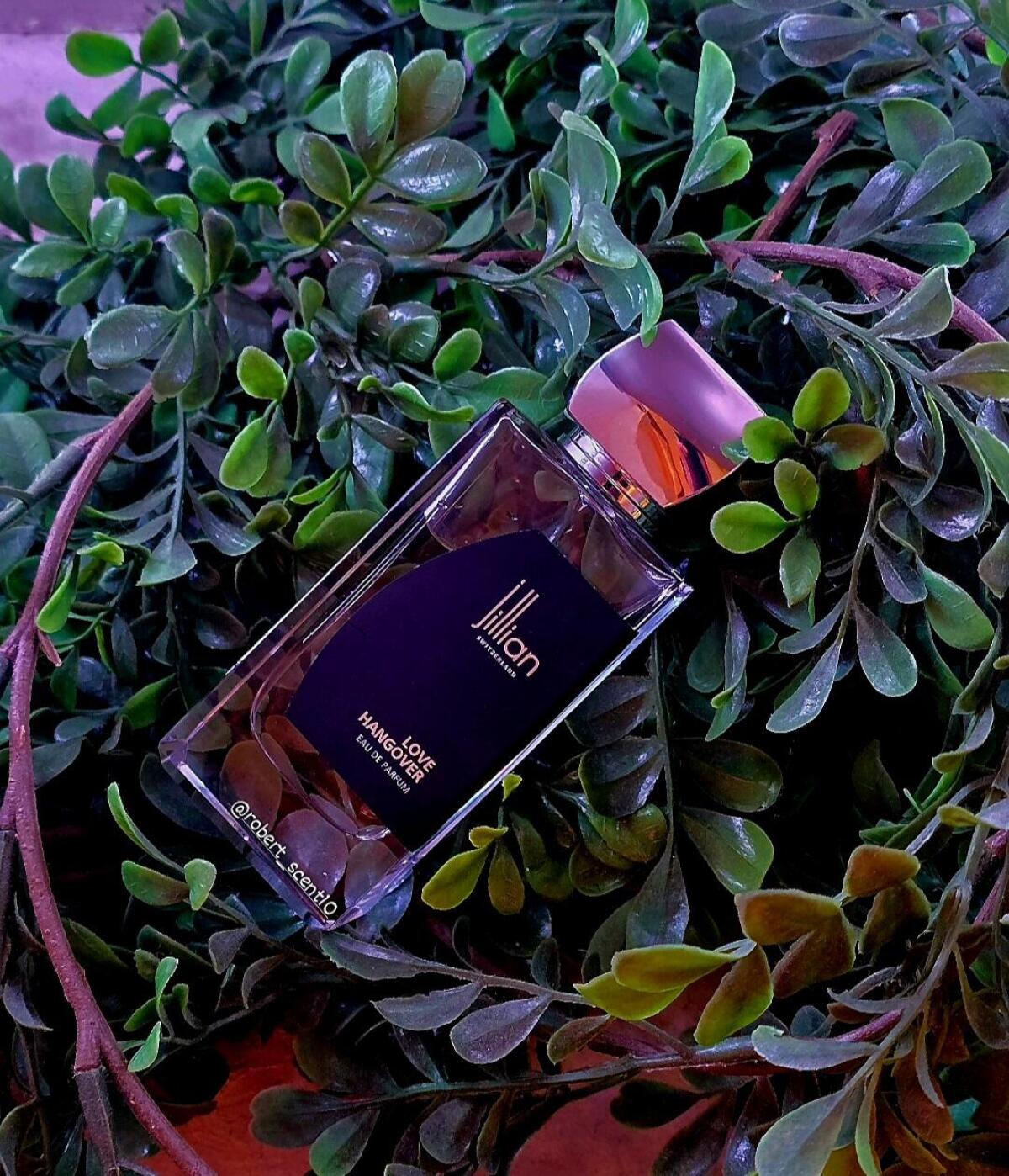 عطر ادکلن لاو هنگوور جیلیان سوییس - Love Hangover Jillian Switzerland - بررسی، قیمت و خرید