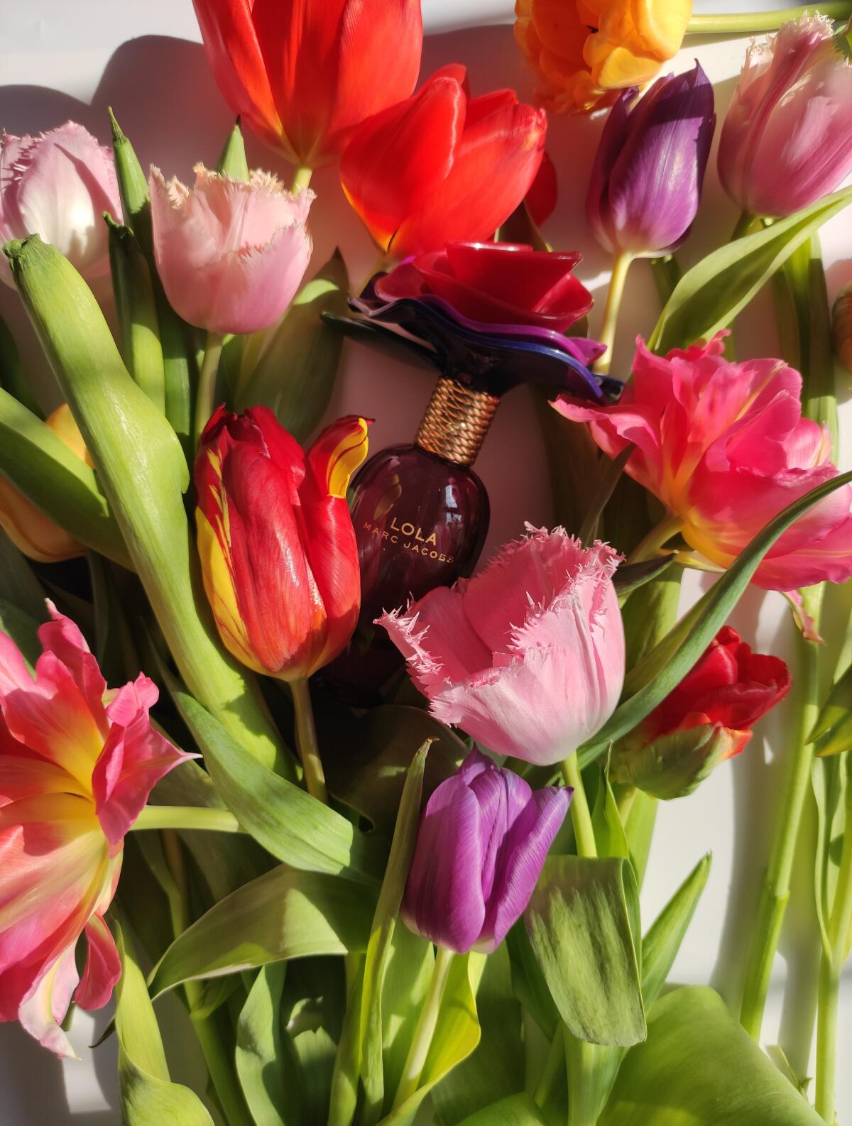 عطر ادکلن لولا مارک جیکوبز - Lola Marc Jacobs - بررسی، قیمت و خرید