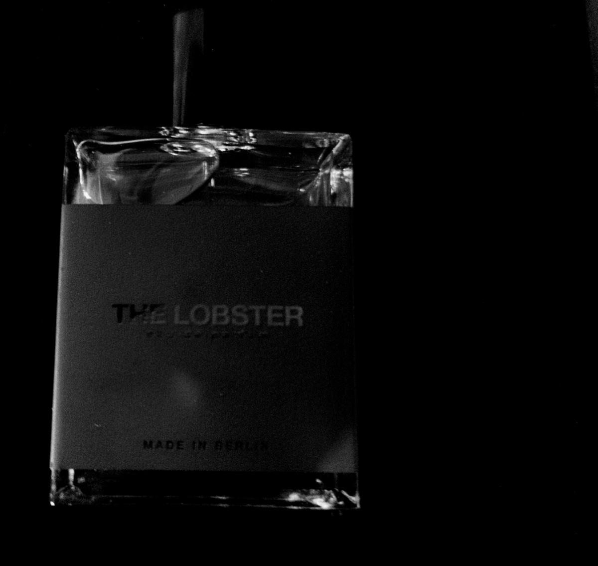 عطر ادکلن د لابستر ماث اند ربت پرفیومز - The Lobster Moth and Rabbit Perfumes - بررسی، قیمت و خرید