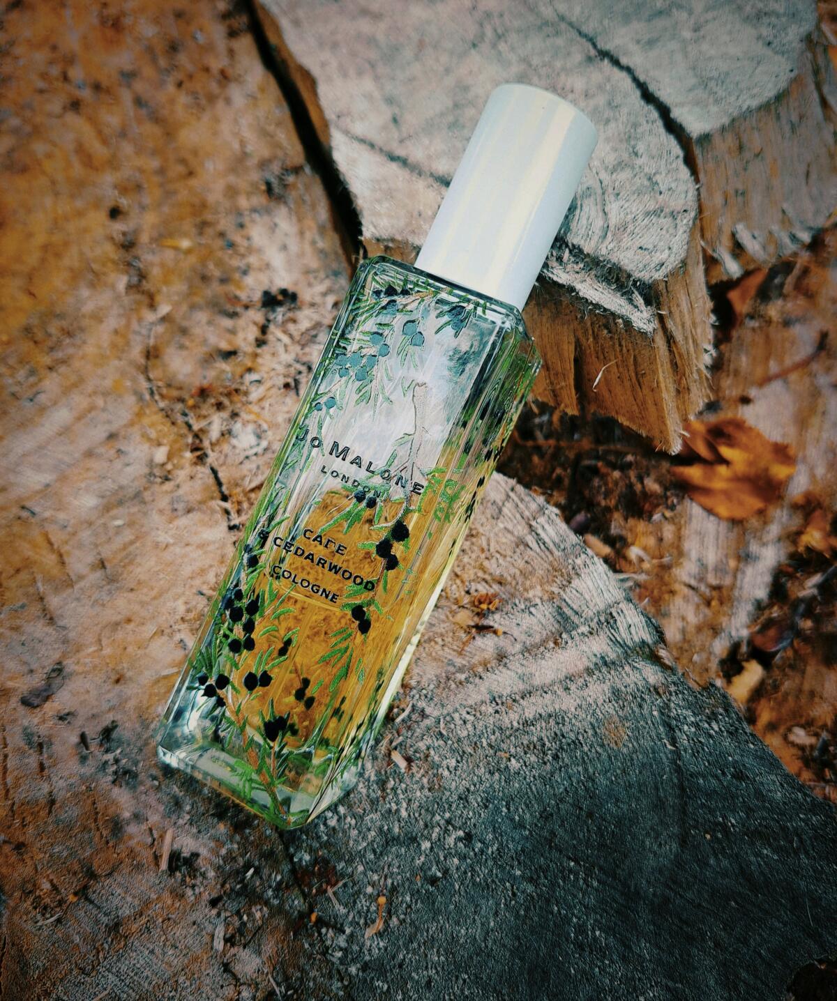 عطر ادکلن کید اند سداروود جو مالون لندن - Cade & Cedarwood Jo Malone London - بررسی، قیمت و خرید