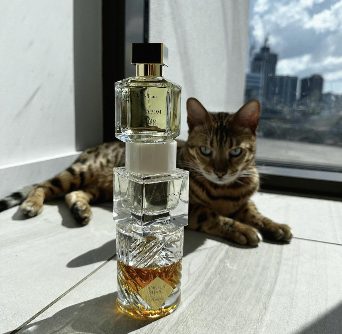 عطر ادکلن آپوم مایسون فرانسیس کرکجان - APOM Maison Francis Kurkdjian - بررسی، قیمت و خرید