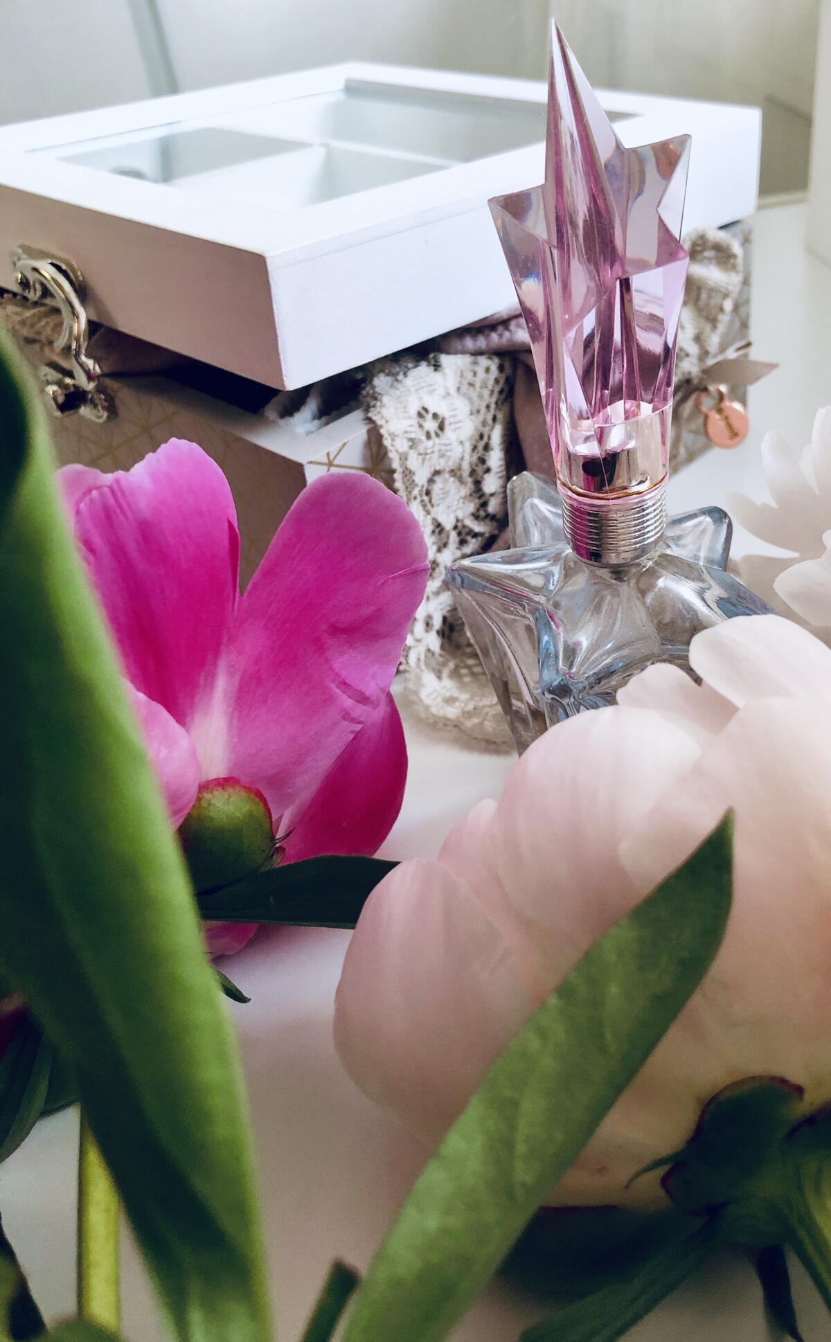 عطر ادکلن انجل گاردن آف استارز - پیواین انجل ماگلر - Angel Garden Of Stars - Pivoine Angel Mugler - بررسی، قیمت و خرید