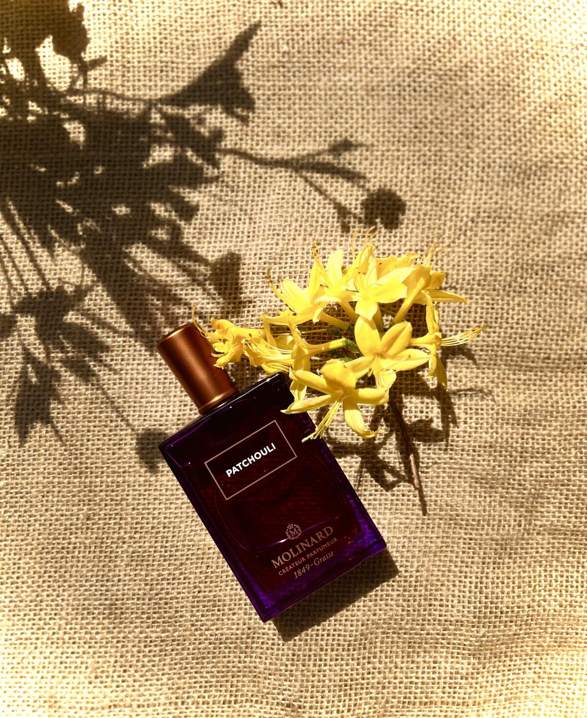 عطر ادکلن پچولی ادو پرفیوم مولینارد - Patchouli Eau de Parfum Molinard - بررسی، قیمت و خرید