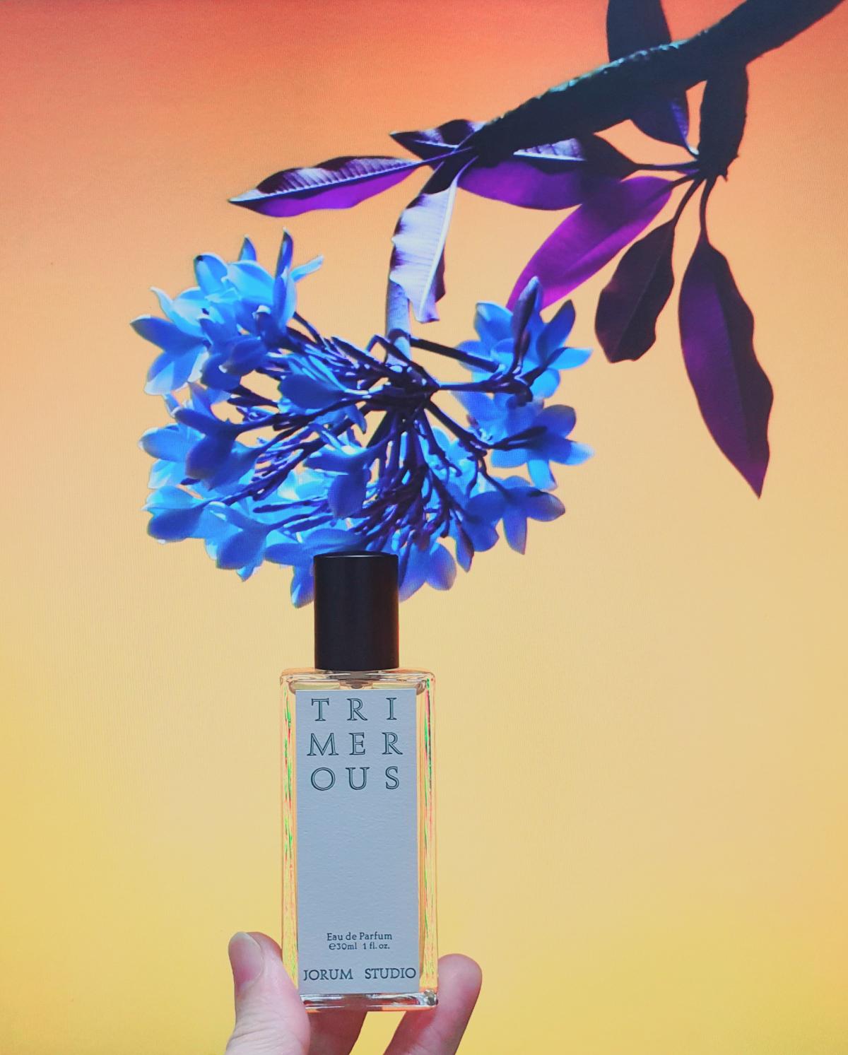 عطر ادکلن ترایمرس جورم استودیو - Trimerous Jorum Studio - بررسی، قیمت و خرید