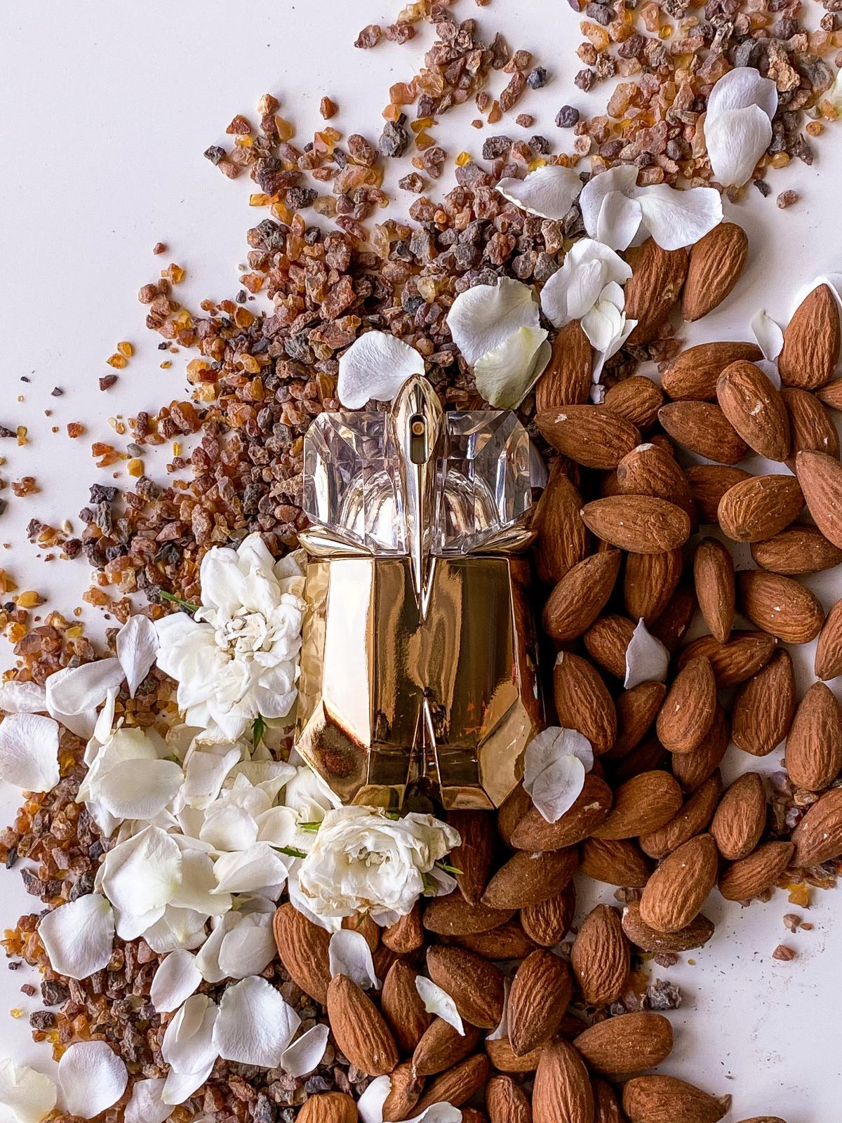 عطر ادکلن اِیلیِن لیکوئر د پَرفیوم موگلر - Alien Liqueur de Parfum Mugler - بررسی، قیمت و خرید