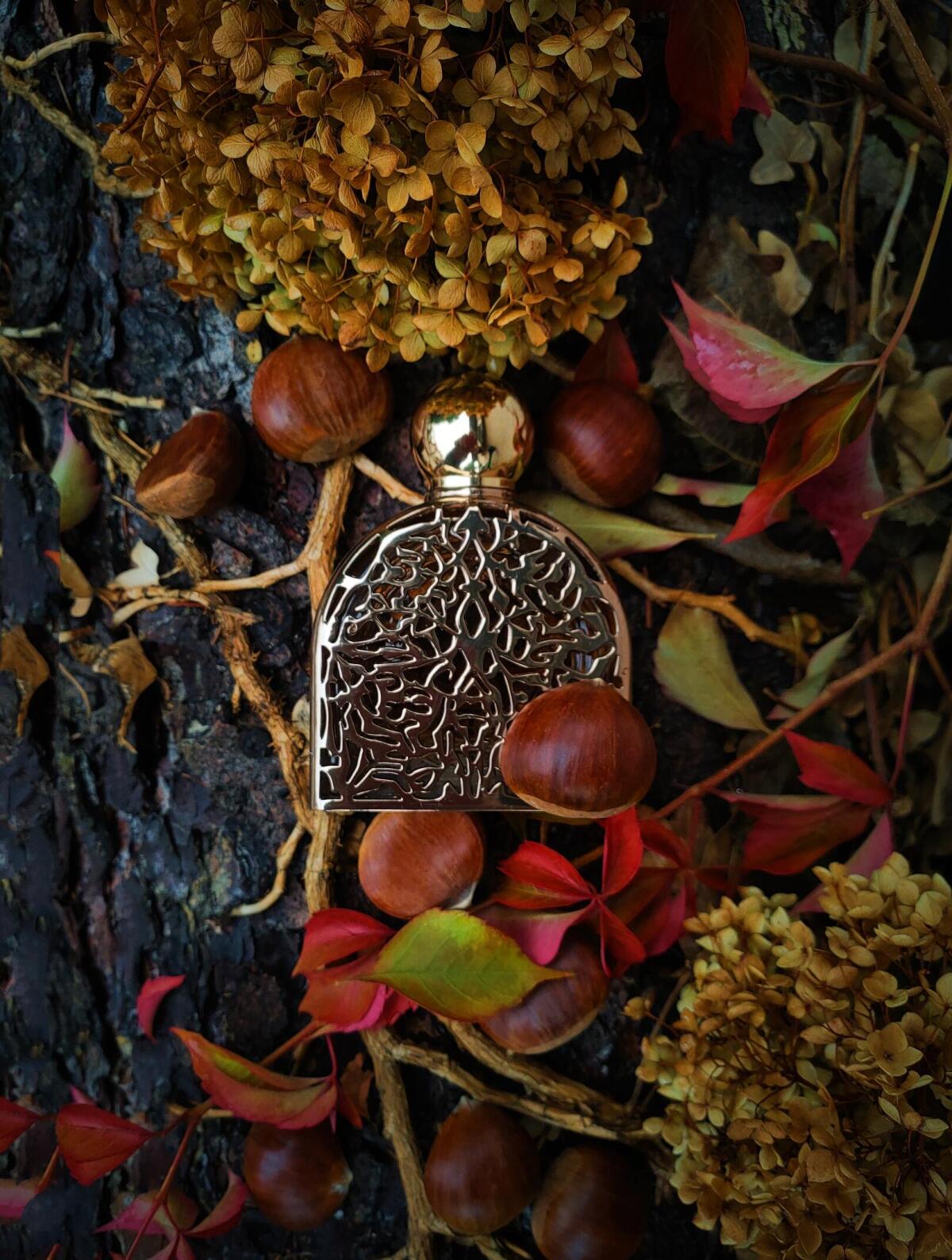 عطر ادکلن گورمه میکالف - Gourmet M. Micallef - بررسی، قیمت و خرید