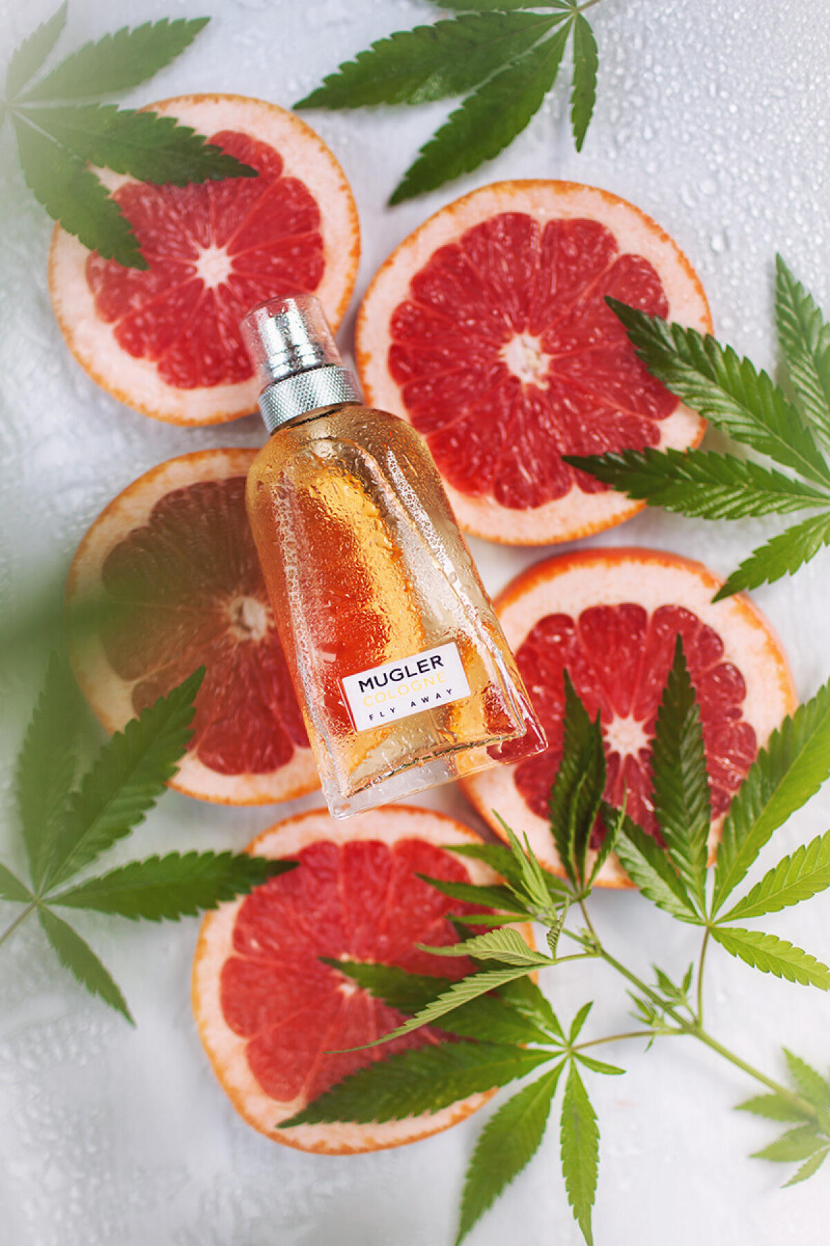 عطر ادکلن ماگلر کلن فلای اوی ماگلر - Mugler Cologne Fly Away Mugler - بررسی، قیمت و خرید