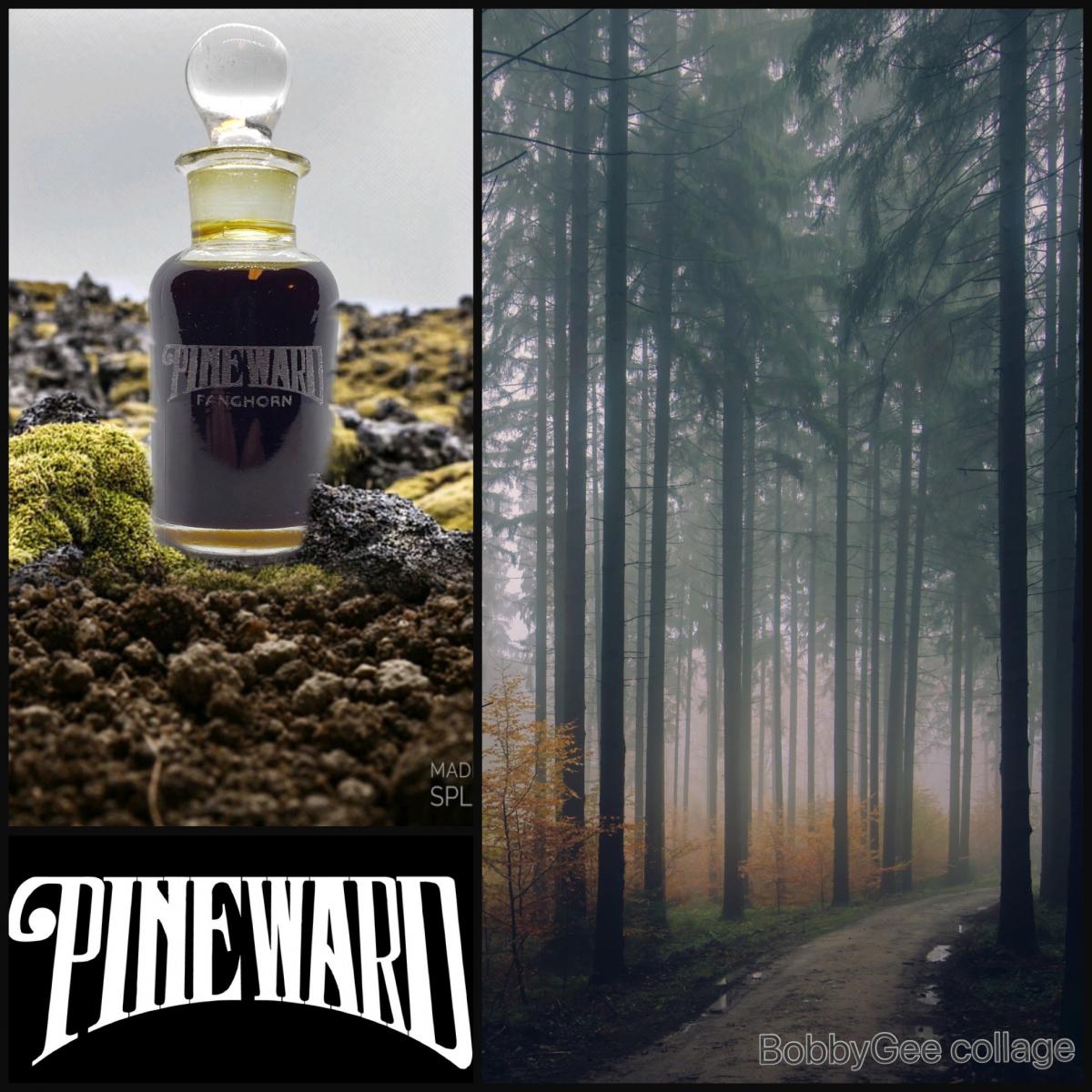 عطر ادکلن فنگ هورن پاین‌وارد پرفیومز - Fanghorn Pineward Perfumes - بررسی، قیمت و خرید