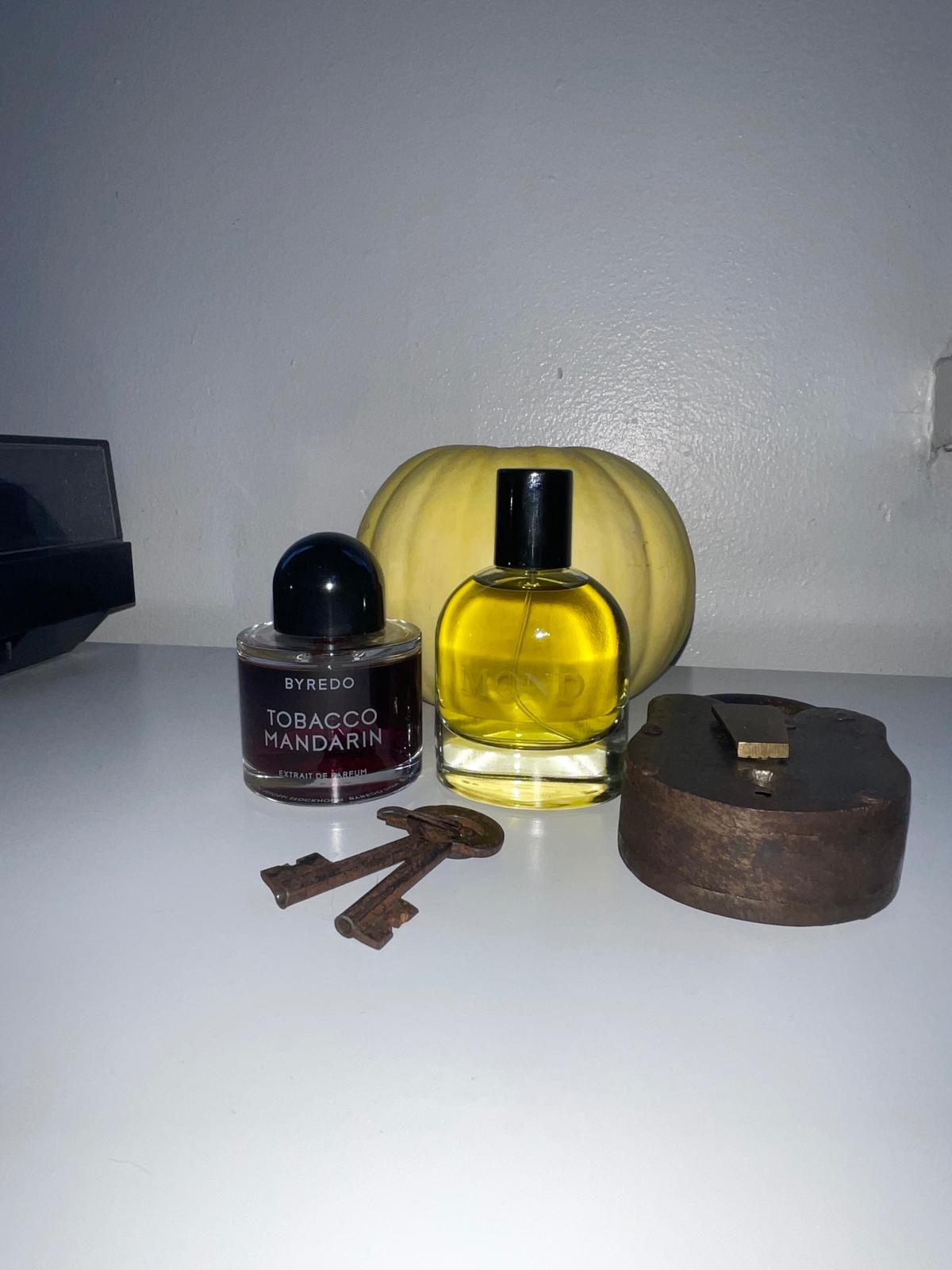 عطر ادکلن موند اسلومبرهاوس - Mond Slumberhouse - بررسی، قیمت و خرید