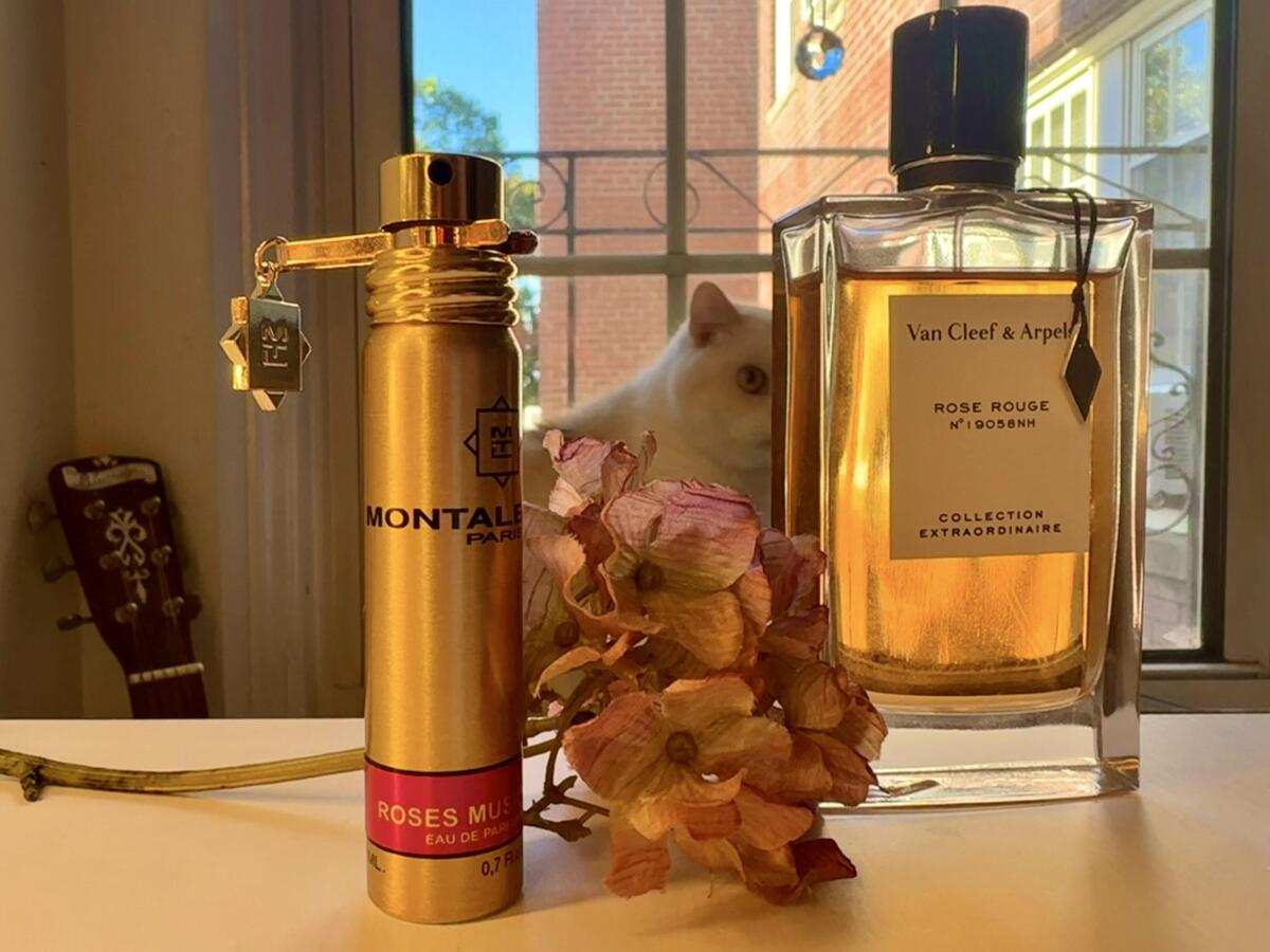 عطر ادکلن رزز ماسک مونتال - Roses Musk Montale - بررسی، قیمت و خرید