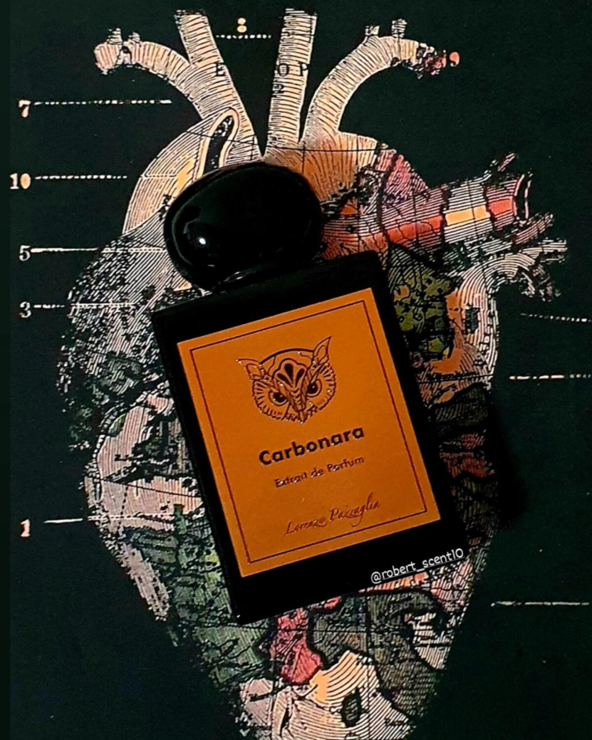 عطر ادکلن کاربونارا لورنتزو پاژاگلیا - Carbonara Lorenzo Pazzaglia - بررسی، قیمت و خرید