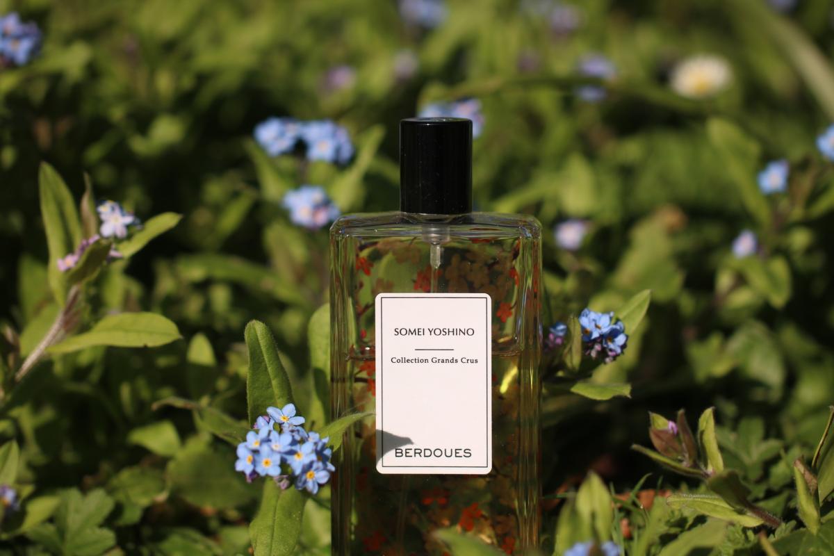 عطر ادکلن سومی یوشینو پرفیوم بردوس - Somei Yoshino Parfums Berdoues - بررسی، قیمت و خرید