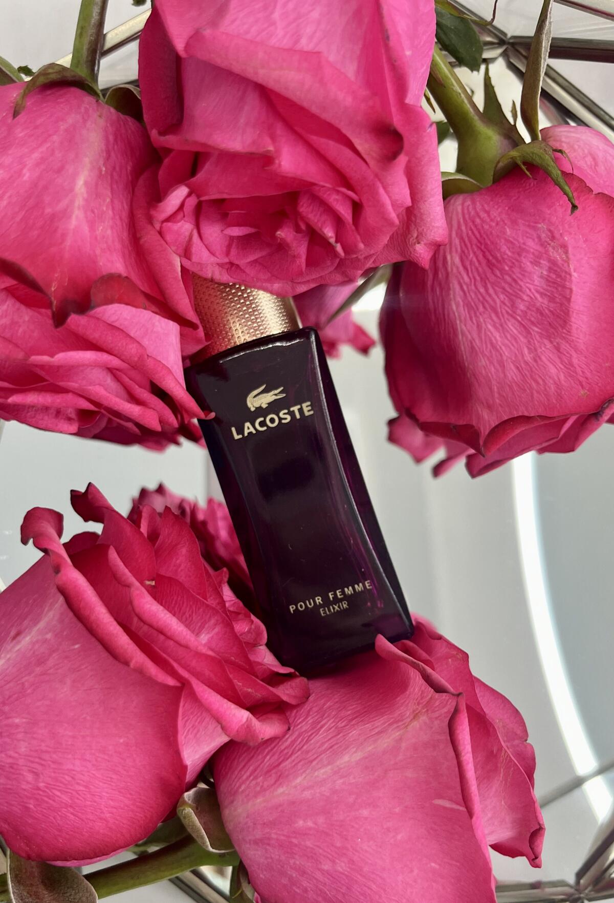 عطر ادکلن لاکست پور فم الیکسیر لاکست فراگرنسز - Lacoste Pour Femme Elixir Lacoste Fragrances - بررسی، قیمت و خرید